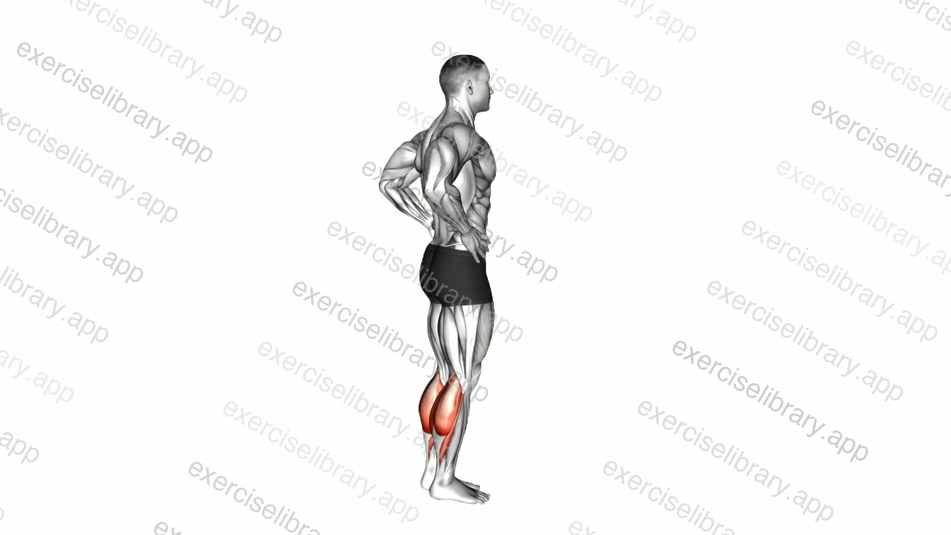 Tip Toes demonstration