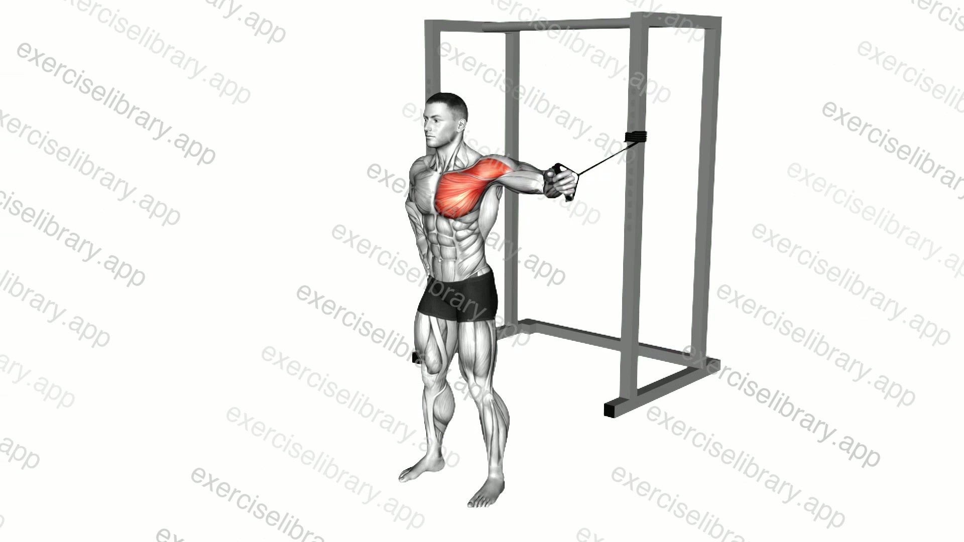 Band Standing Single Arm Chest Fly demonstration