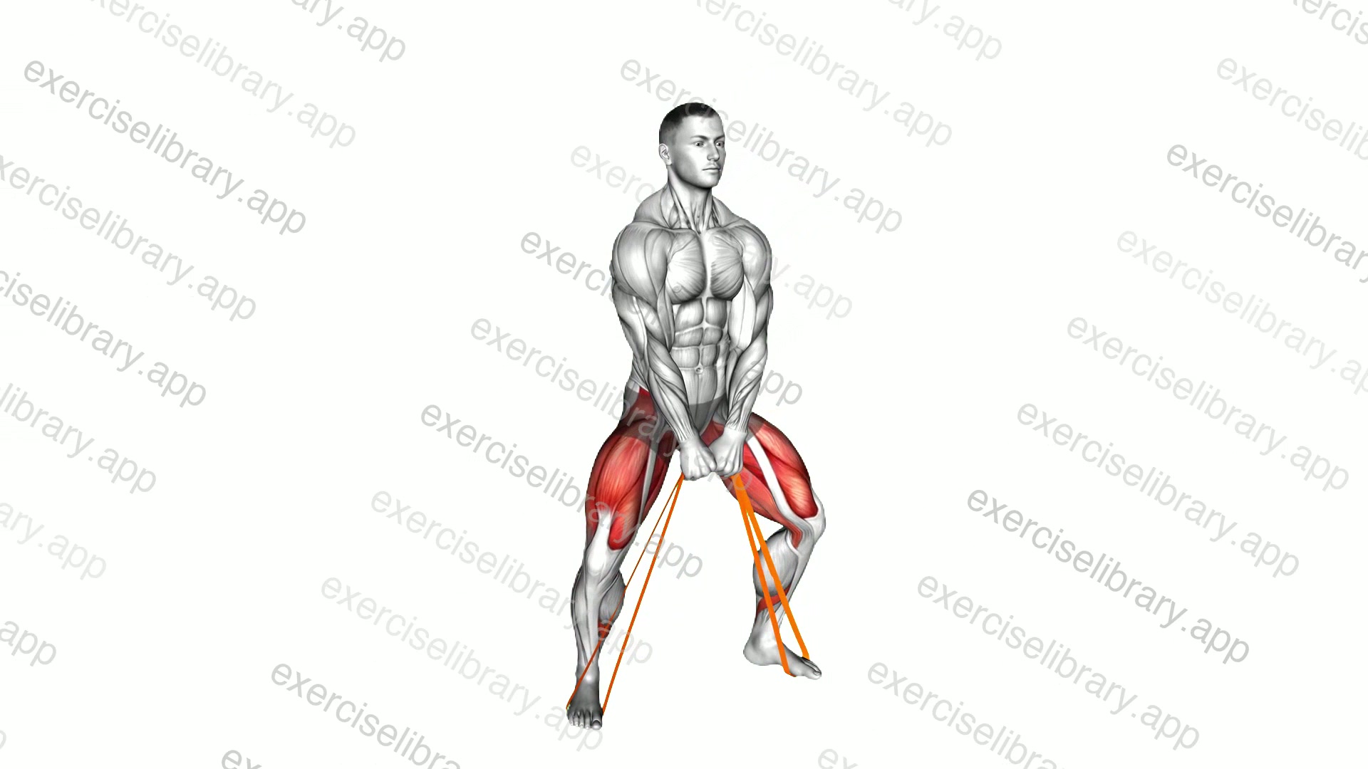 Resistance Band Sumo Squat demonstration