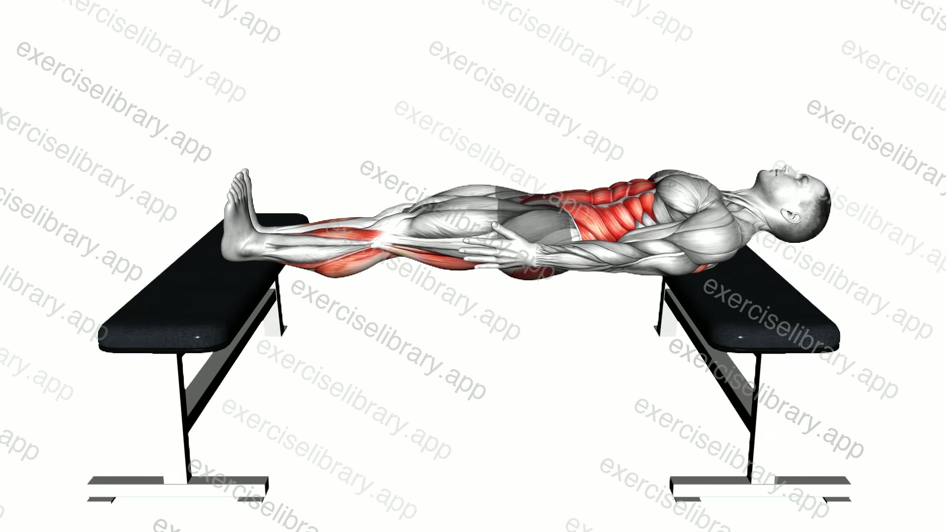 Chinese Plank demonstration