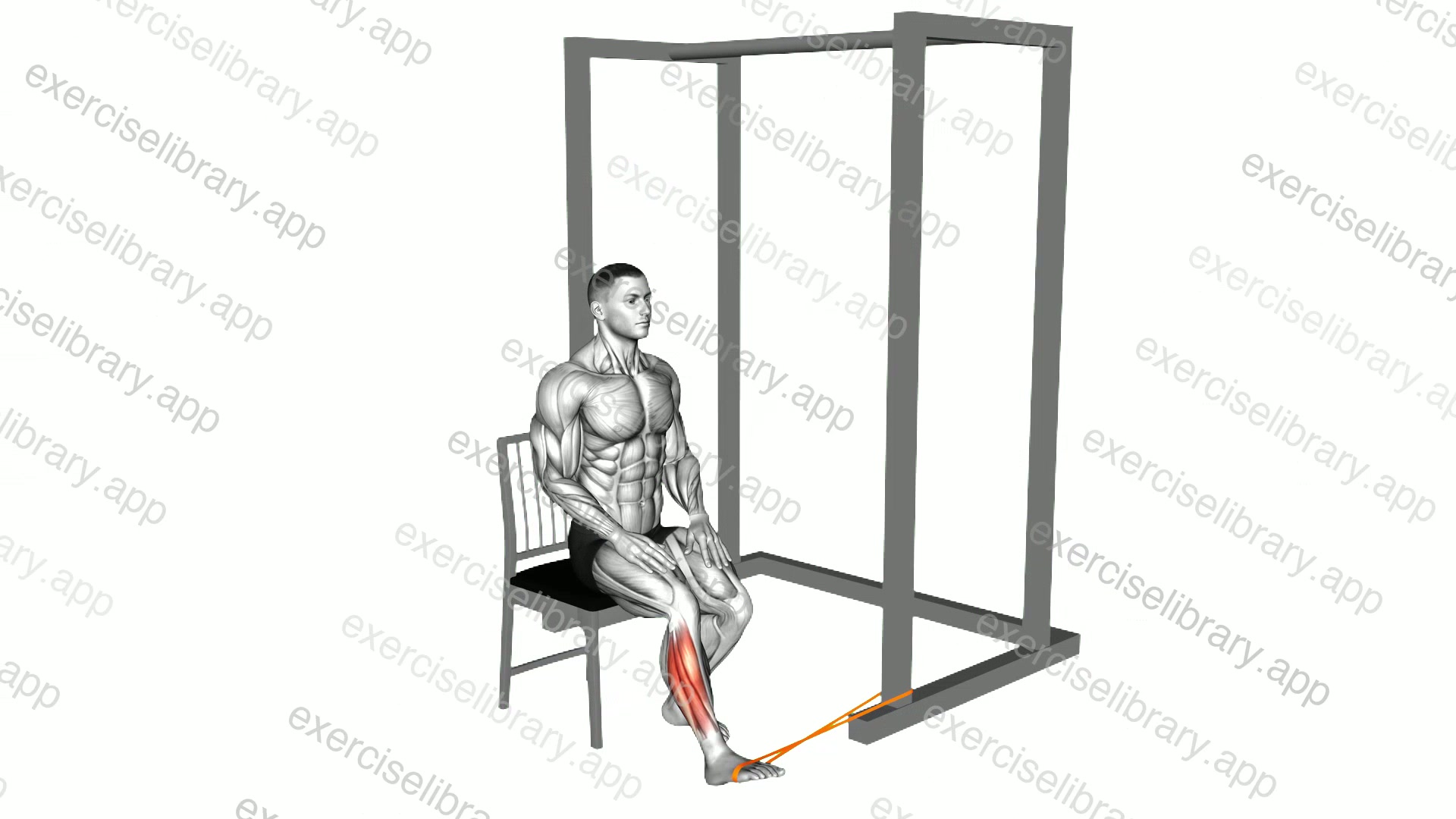 Resistance Band Seated Eversion Foot demonstration