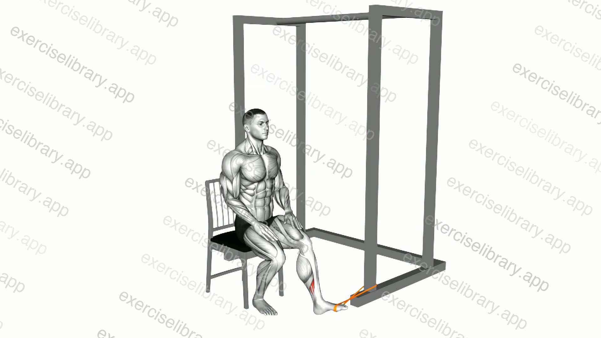 Resistance Band Seated Inversion Foot demonstration