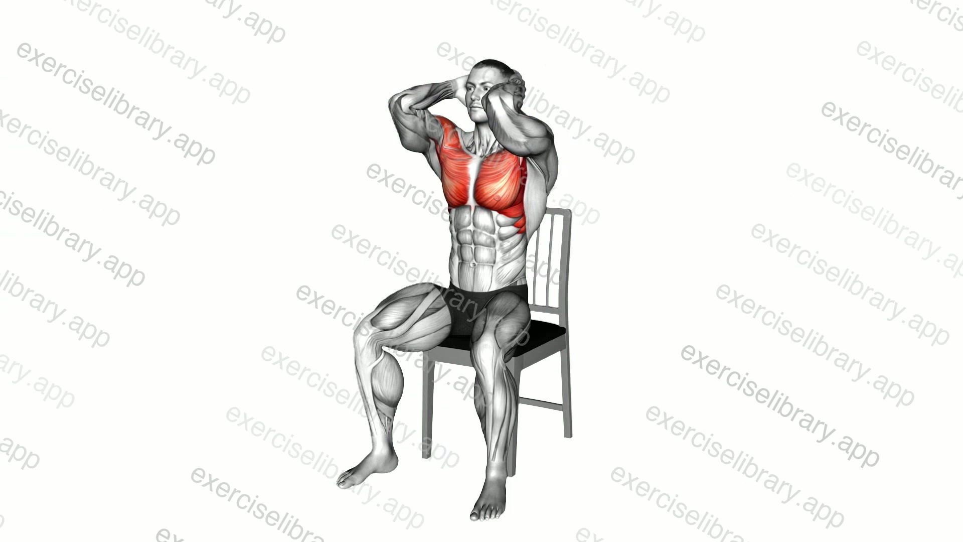 Seated Elbow Chest Fly on a Chair demonstration