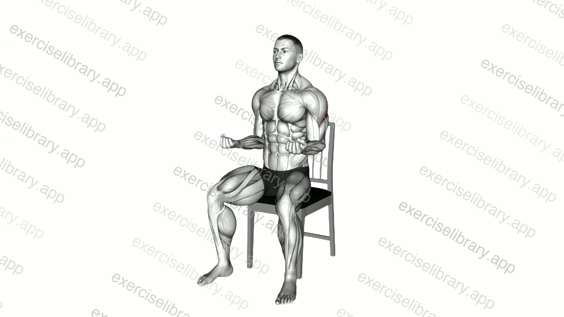 Seated External Rotation on a Chair demonstration