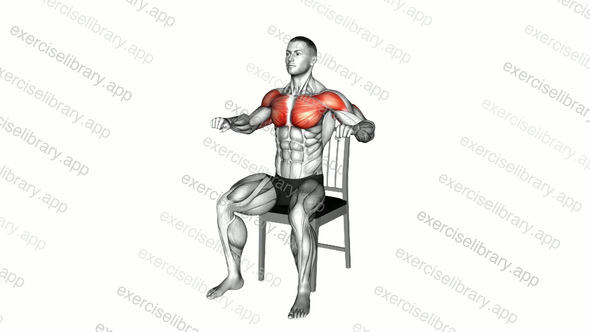 Seated Chest Press on a Chair demonstration