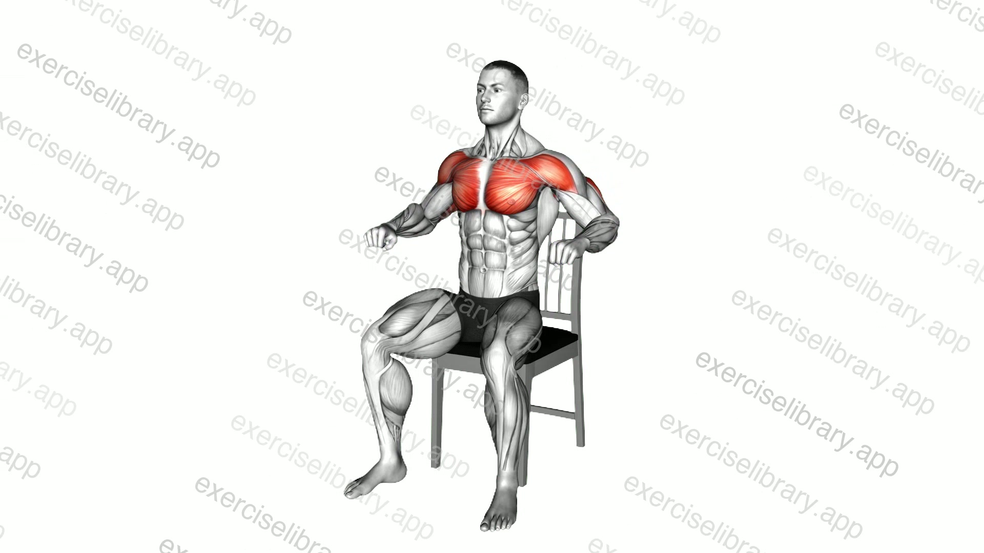 Seated Decline Chest Press on a Chair demonstration