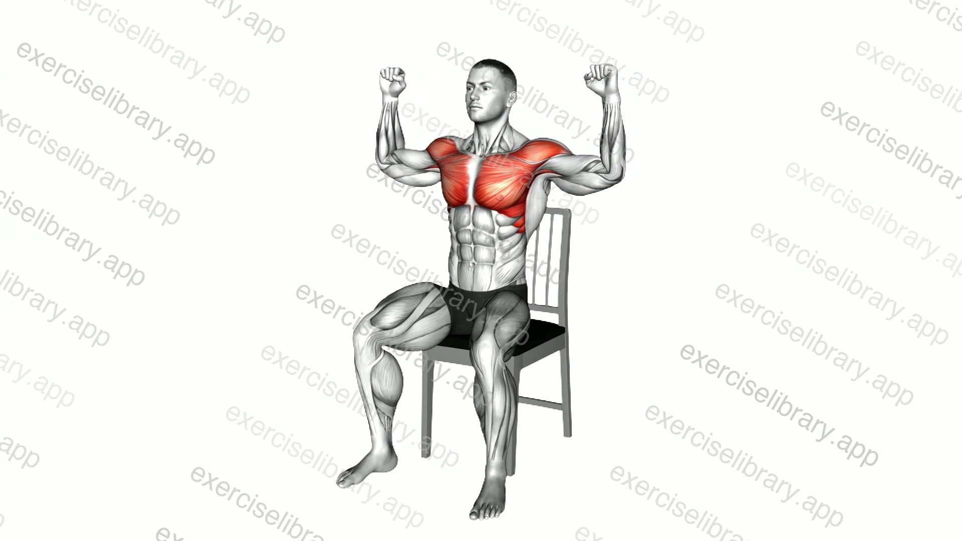 Seated Pec Dec on a Chair demonstration