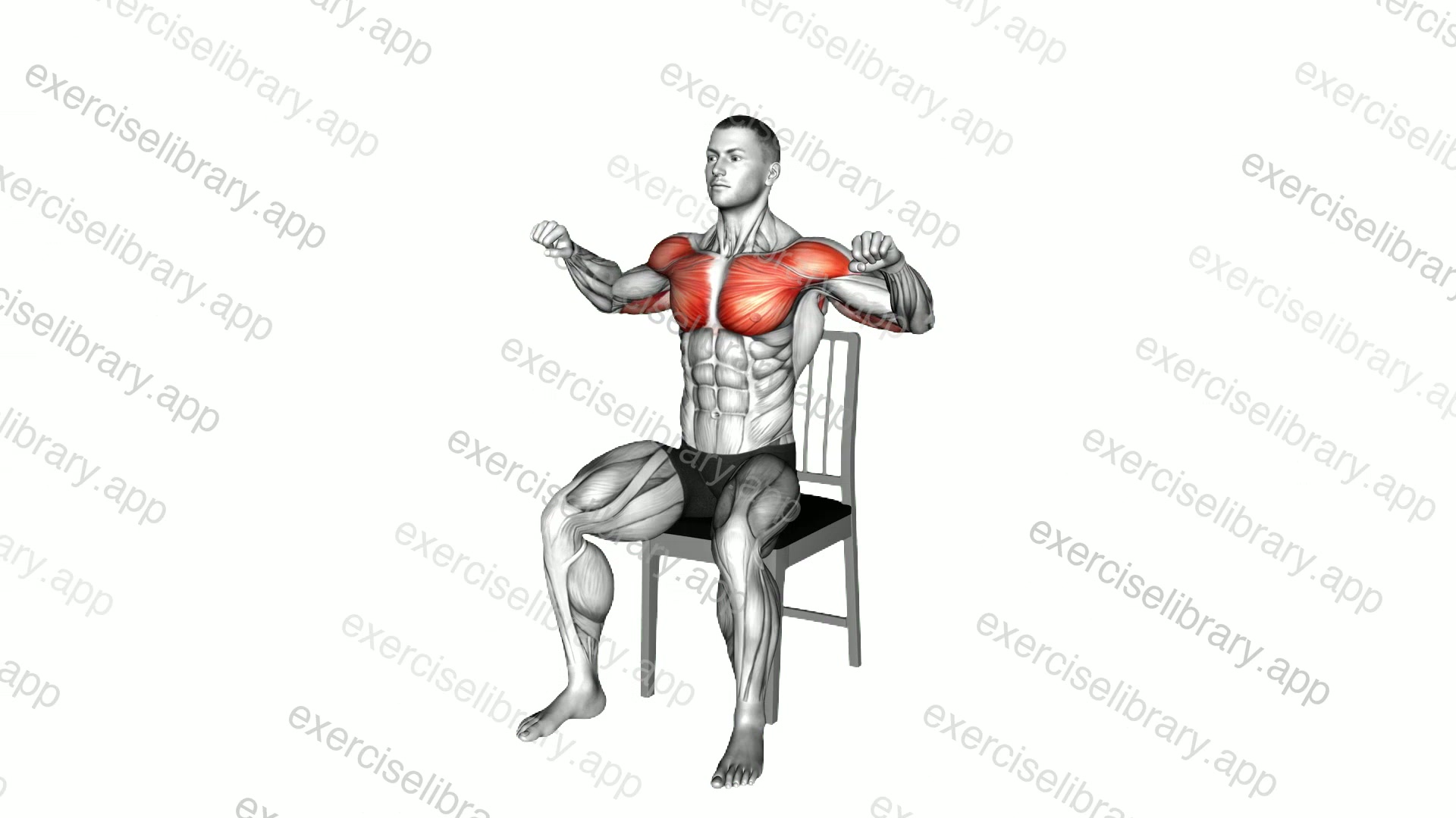 Seated Incline Chest Press on a Chair demonstration