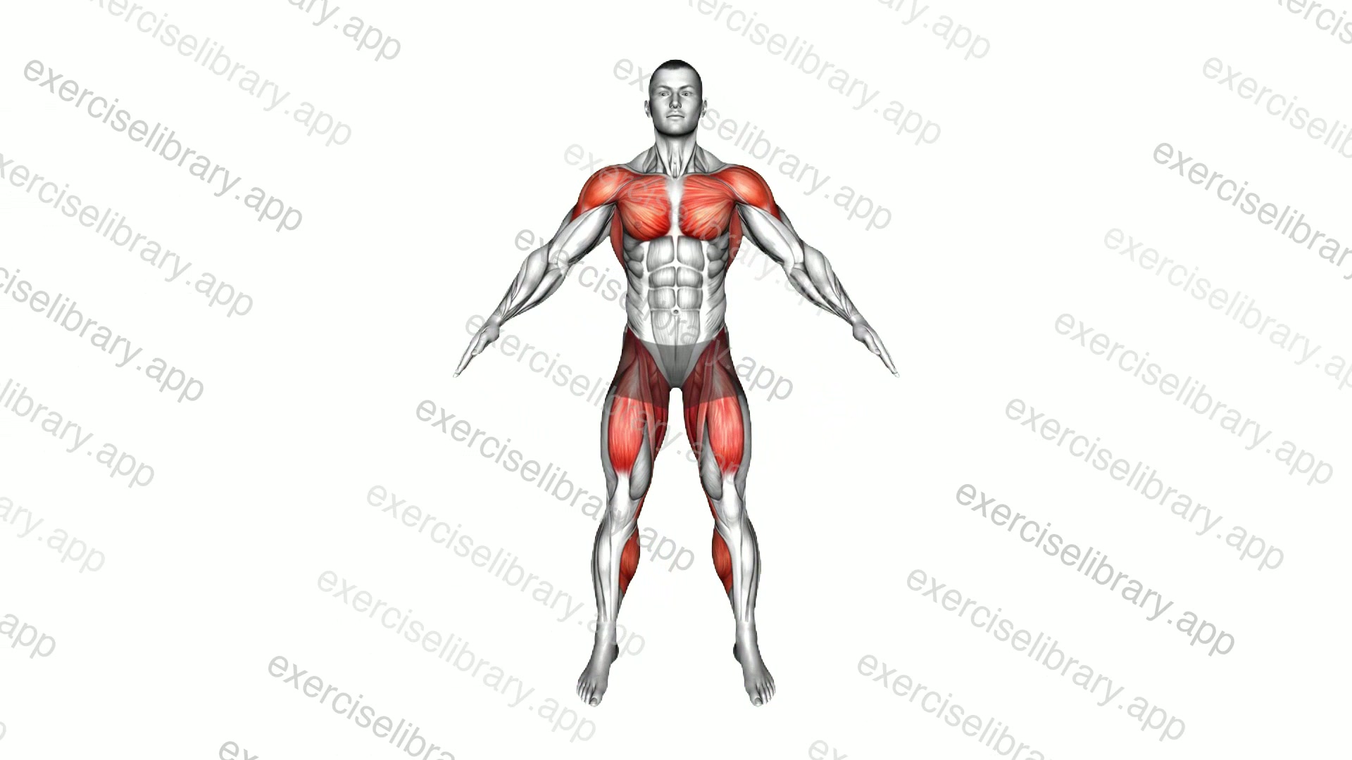 Half Jumping Jack demonstration