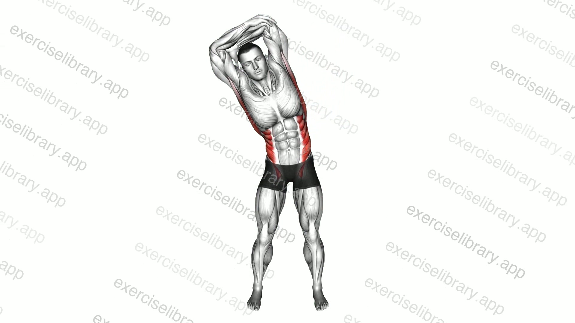 Standing Hand Behind Side Bend demonstration