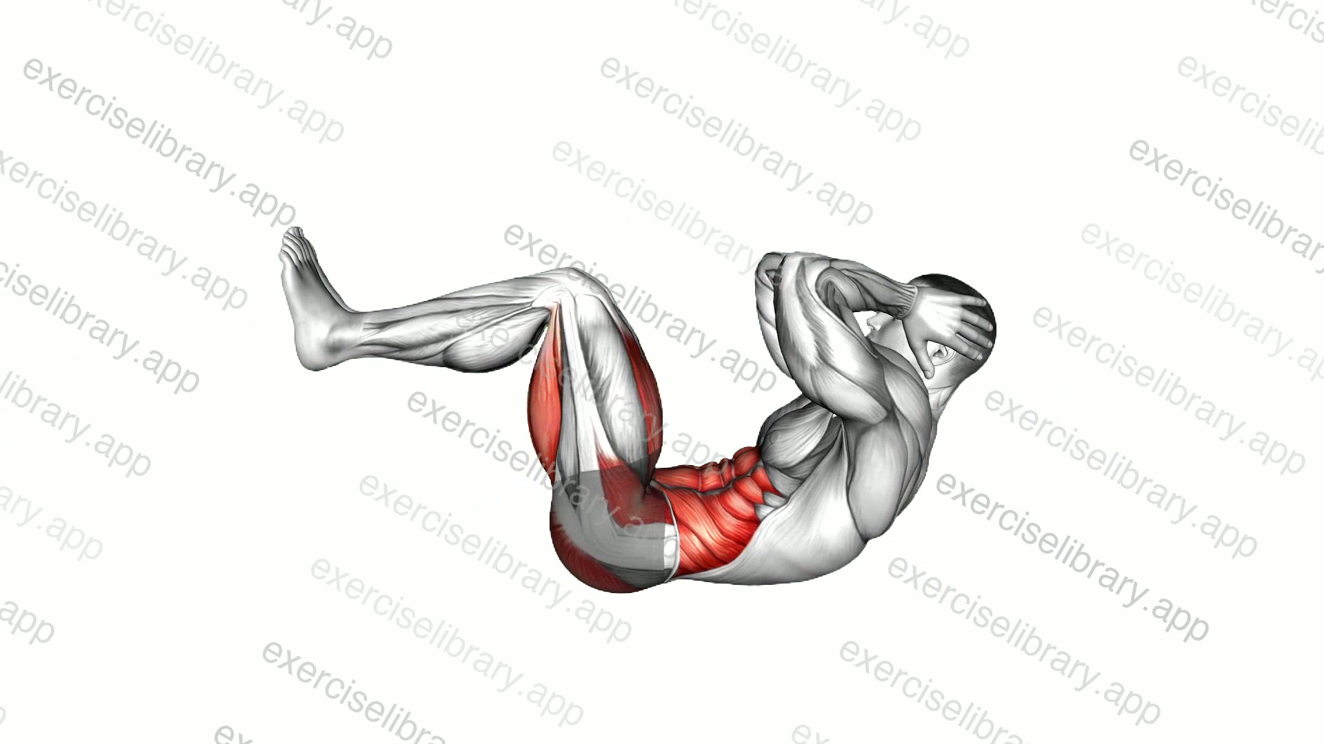 Atomic Sit-up demonstration