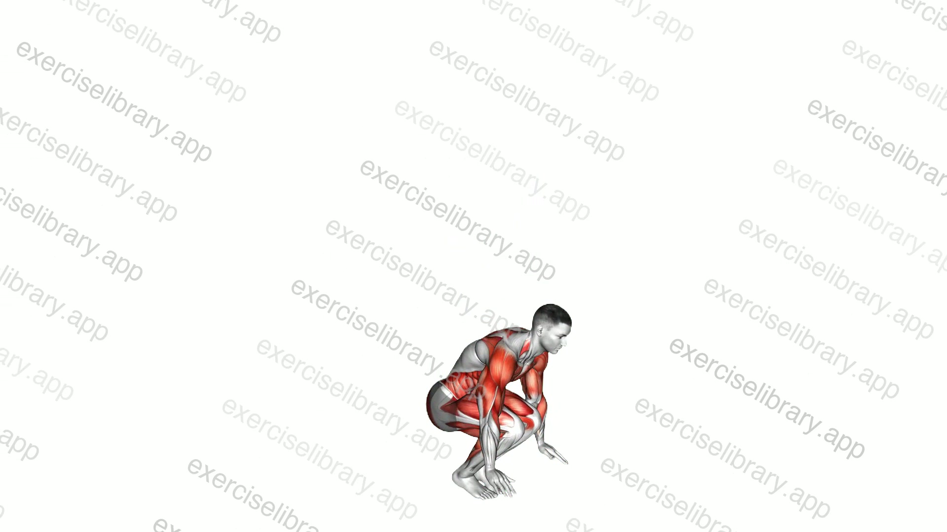 Push-up Plank Jack Burpee demonstration