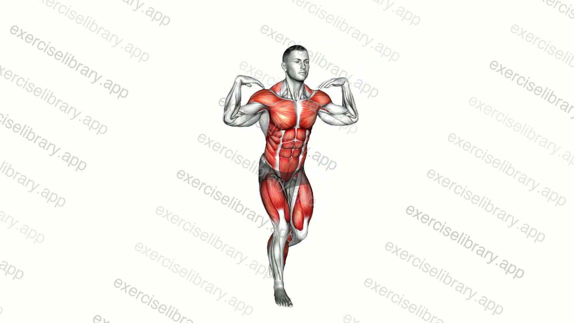 Stepback Flap demonstration