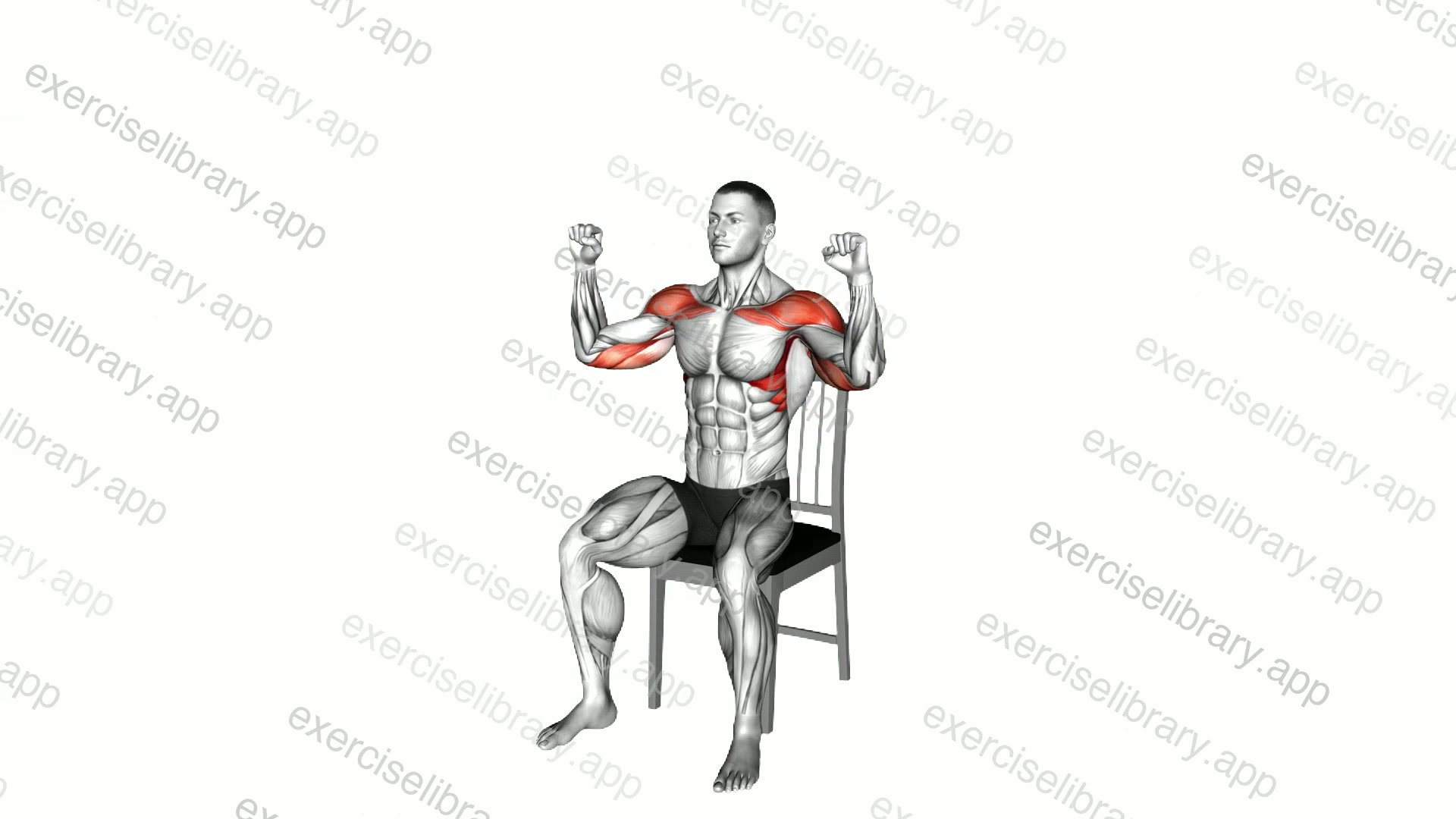 Seated Shoulder Press on a Chair demonstration