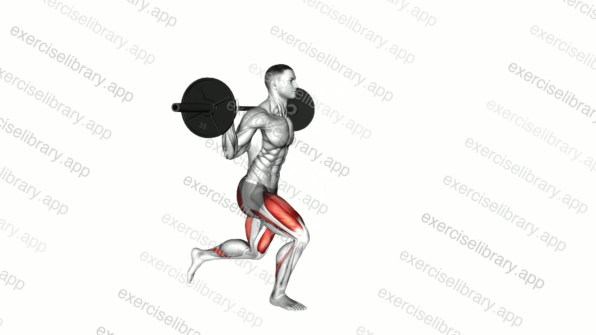 Barbell Forward Backward Lunge demonstration