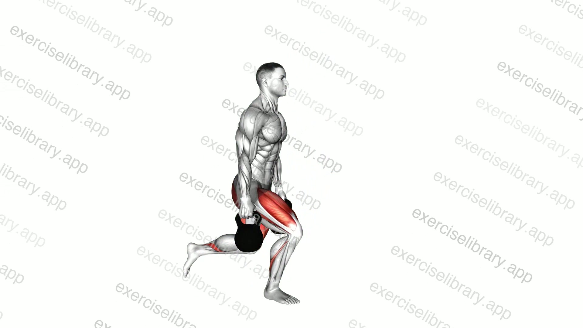 Kettlebell Forward Backward Lunge demonstration