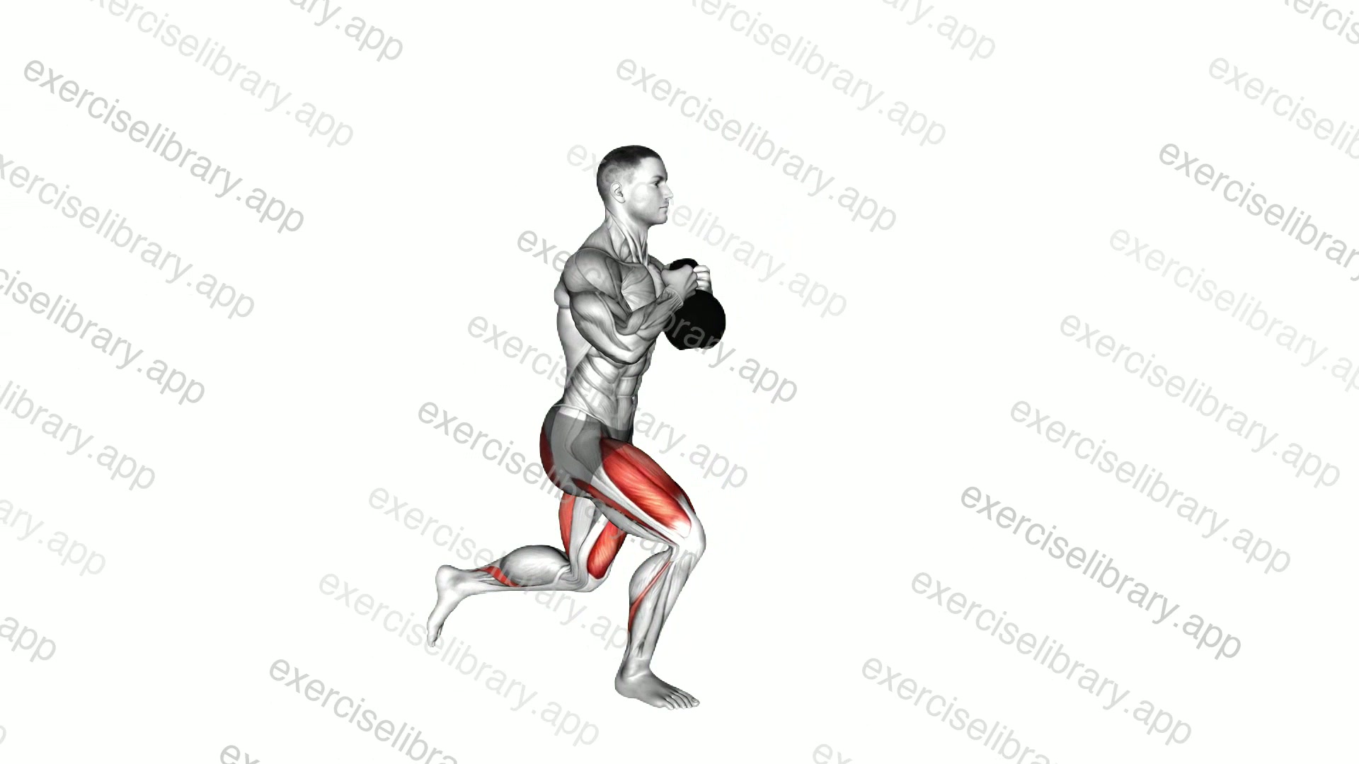 Kettlebell Goblet Forward Backward Lunge demonstration