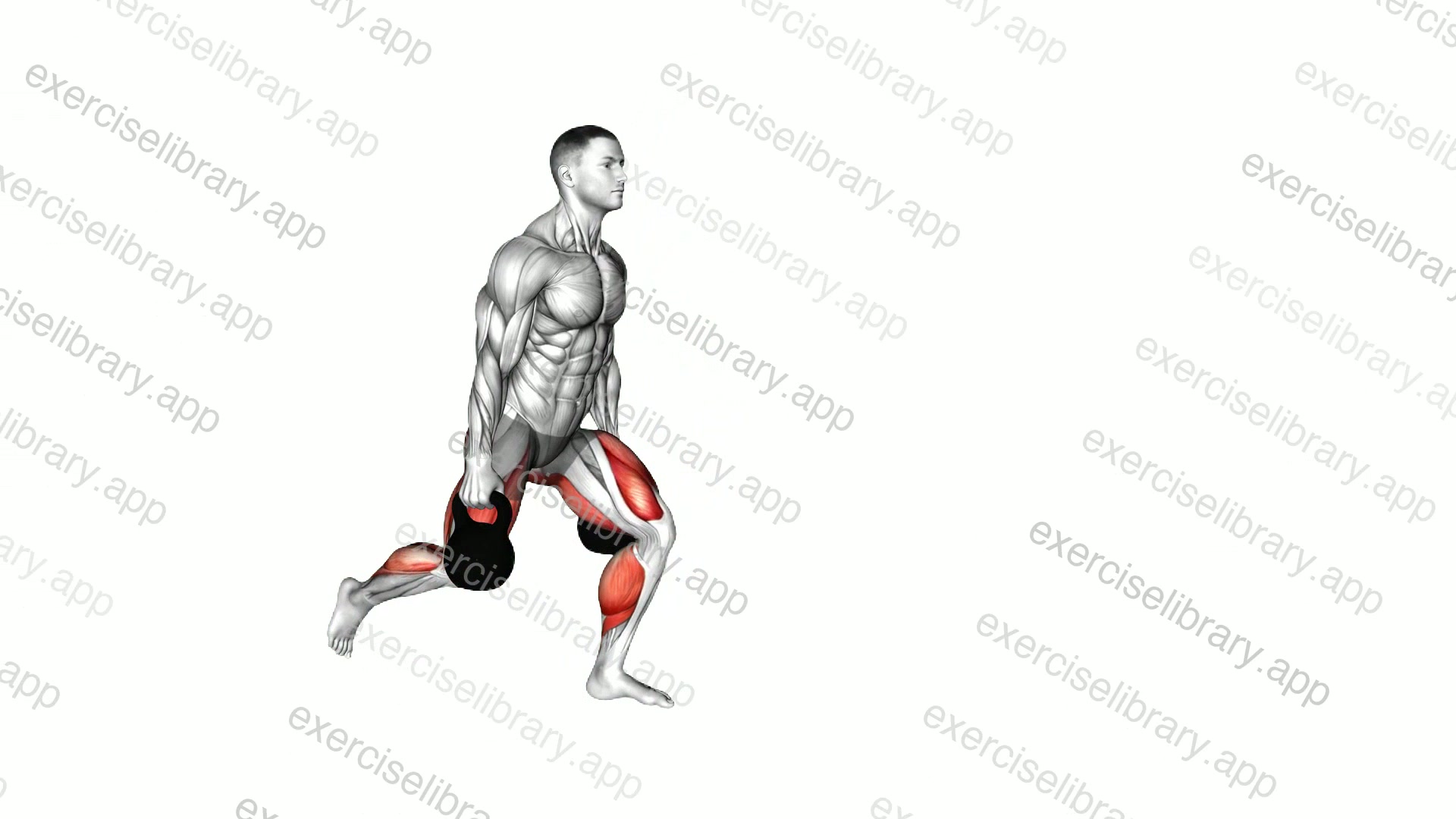 Kettlebell Forward Backward Lunge demonstration