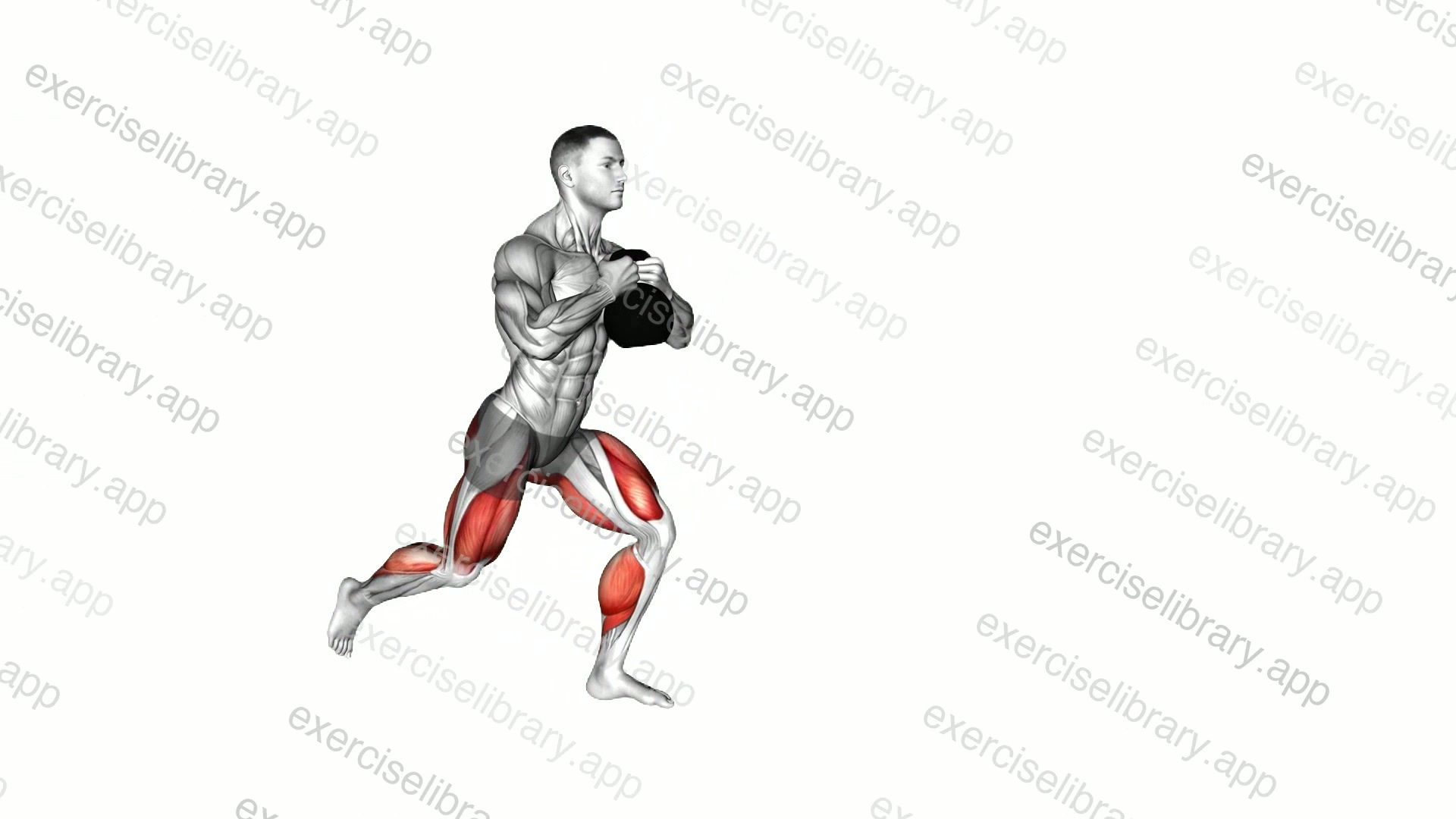 Kettlebell Goblet Forward Backward Lunge demonstration