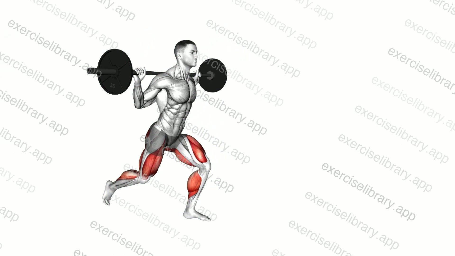 Barbell Forward Backward Lunge demonstration