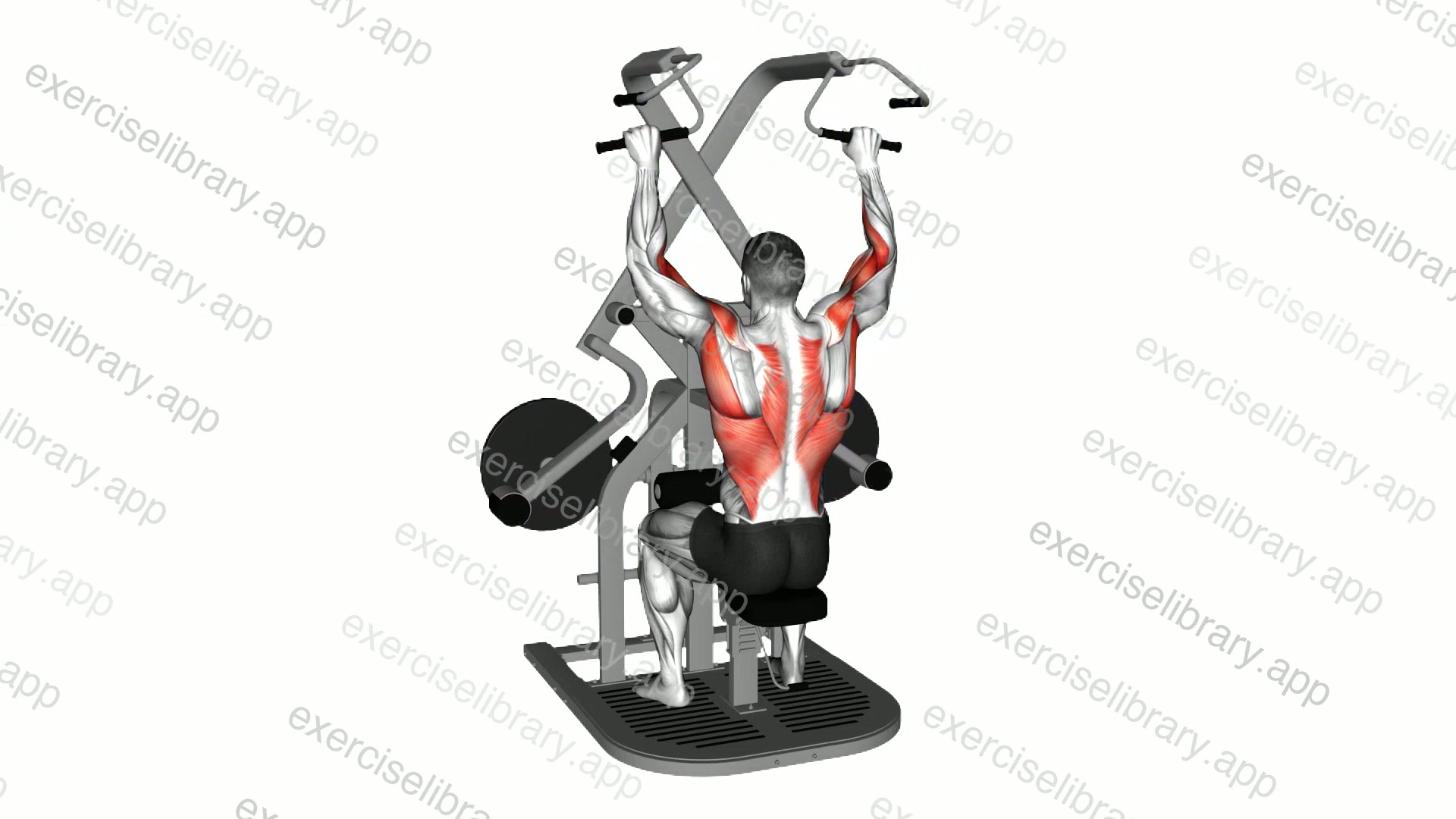 Lever Seated Wide Lat Pulldown demonstration