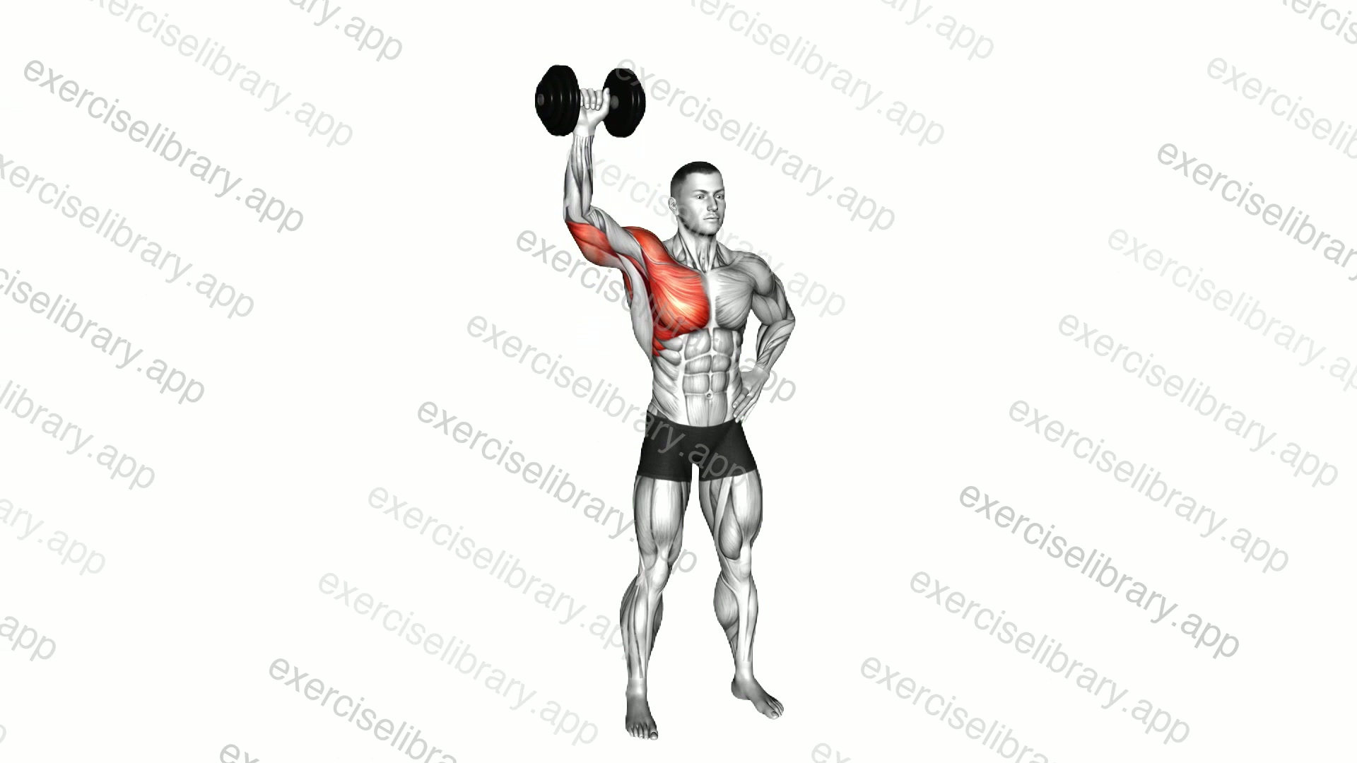 Dumbbell Standing Shoulder Press to Pec Dec demonstration
