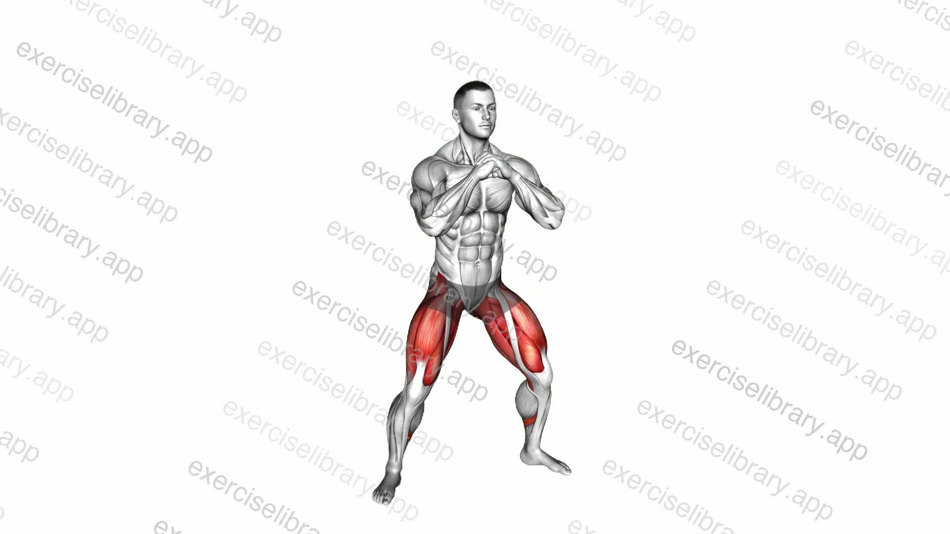 Bodyweight Wide Squat Hands Together demonstration