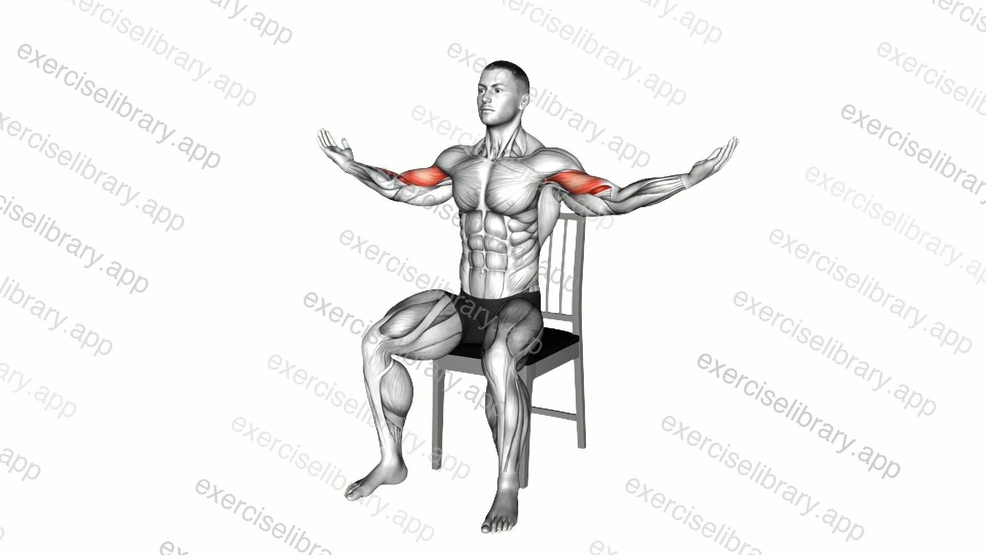 Seated Shoulder Tap on a Chair demonstration