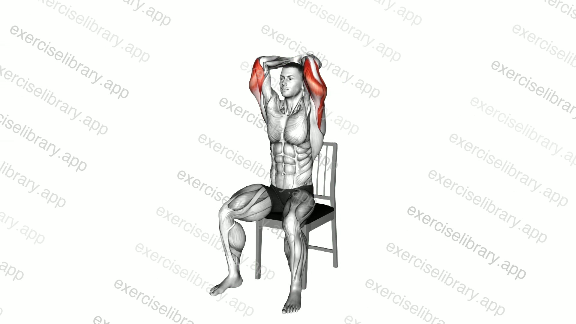 Seated Overhead Triceps Extension on a Chair demonstration