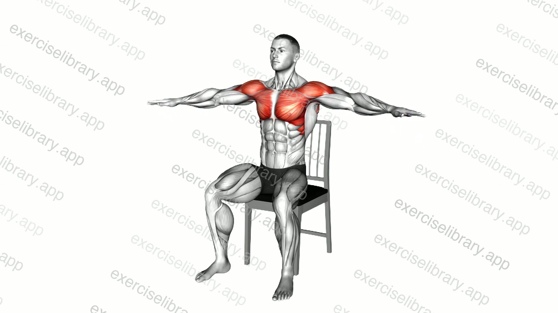 Seated Underhand Arm Circle on a Chair demonstration