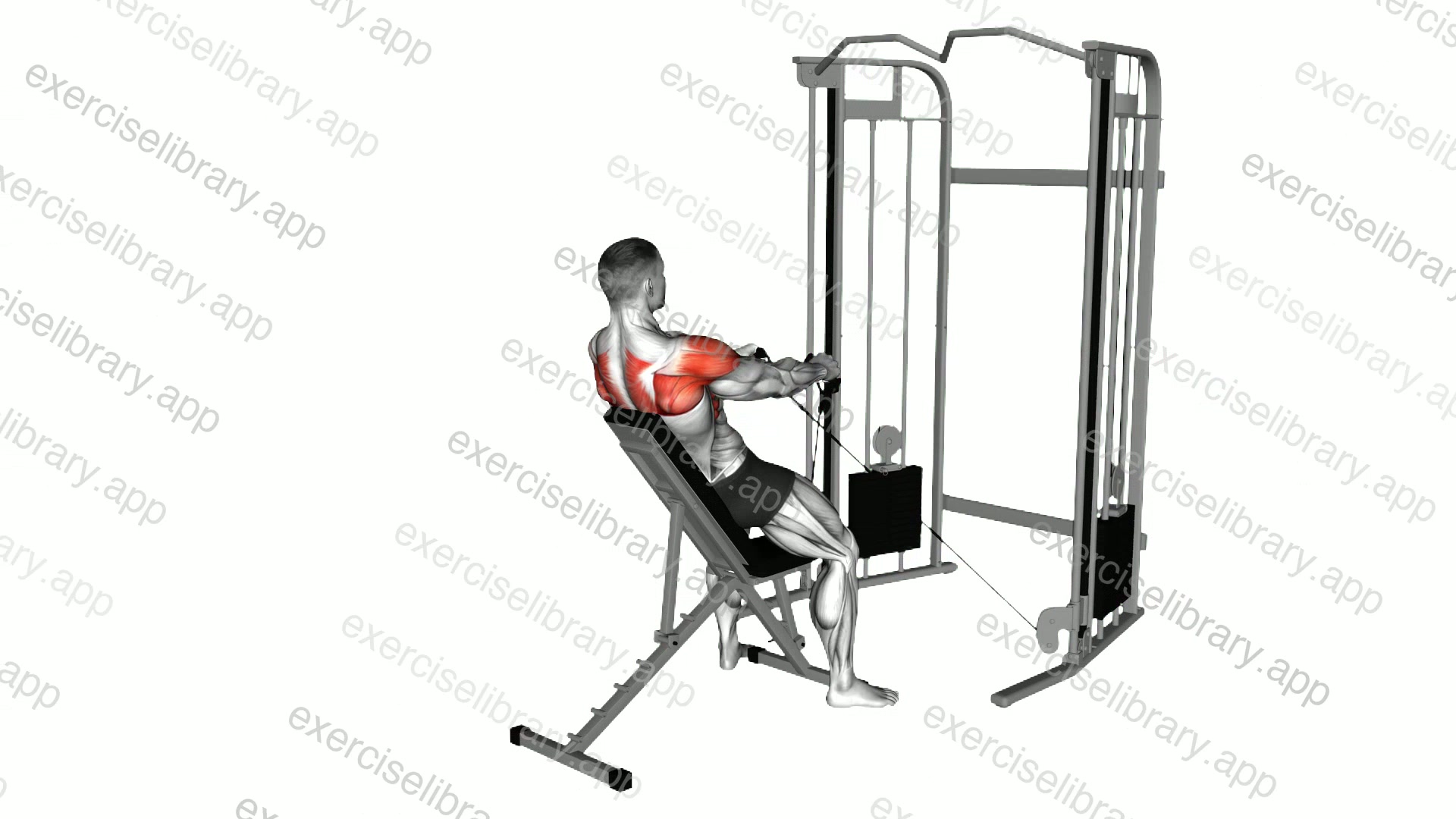 Cable Incline Y Raise with Back Support demonstration