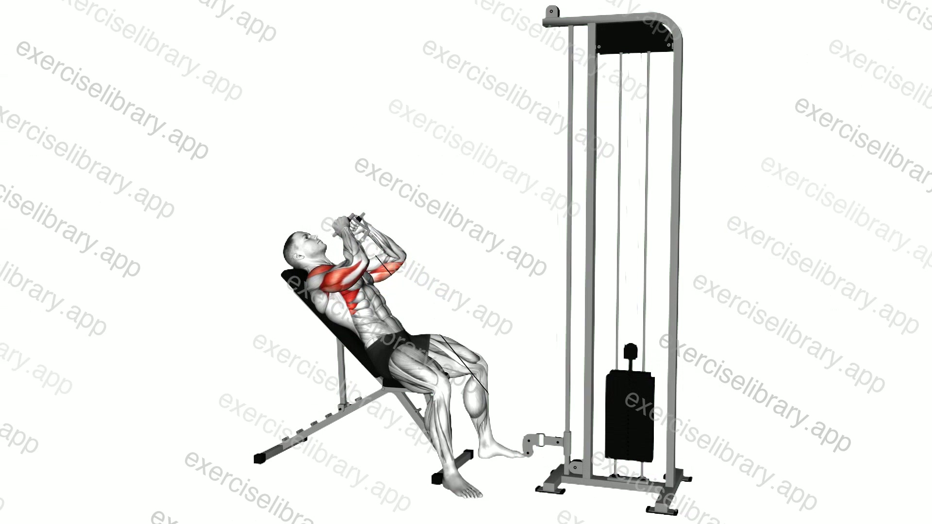 Cable Incline Close Grip Shoulder Press with V Bar demonstration