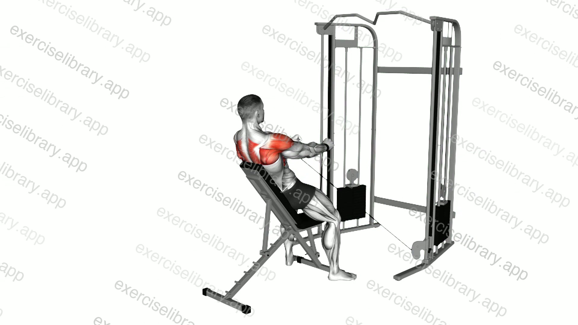 Cable Incline Y Raise Wrist Straps with Back Support demonstration