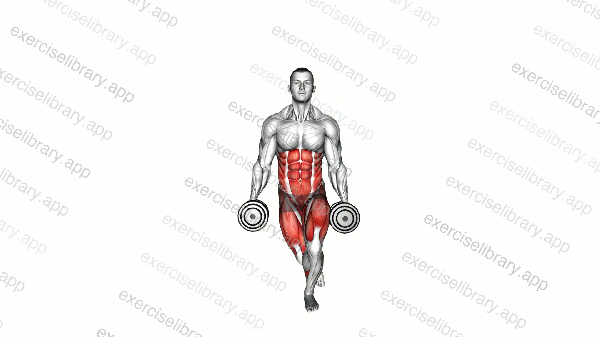 Dumbbell Curtsey Lunge demonstration