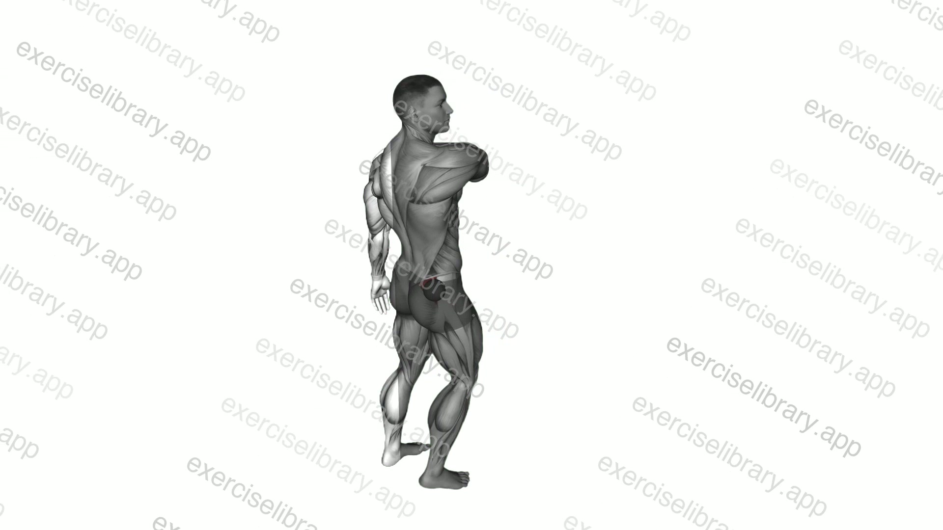 Roll Ball Gluteus Medius Stretch demonstration