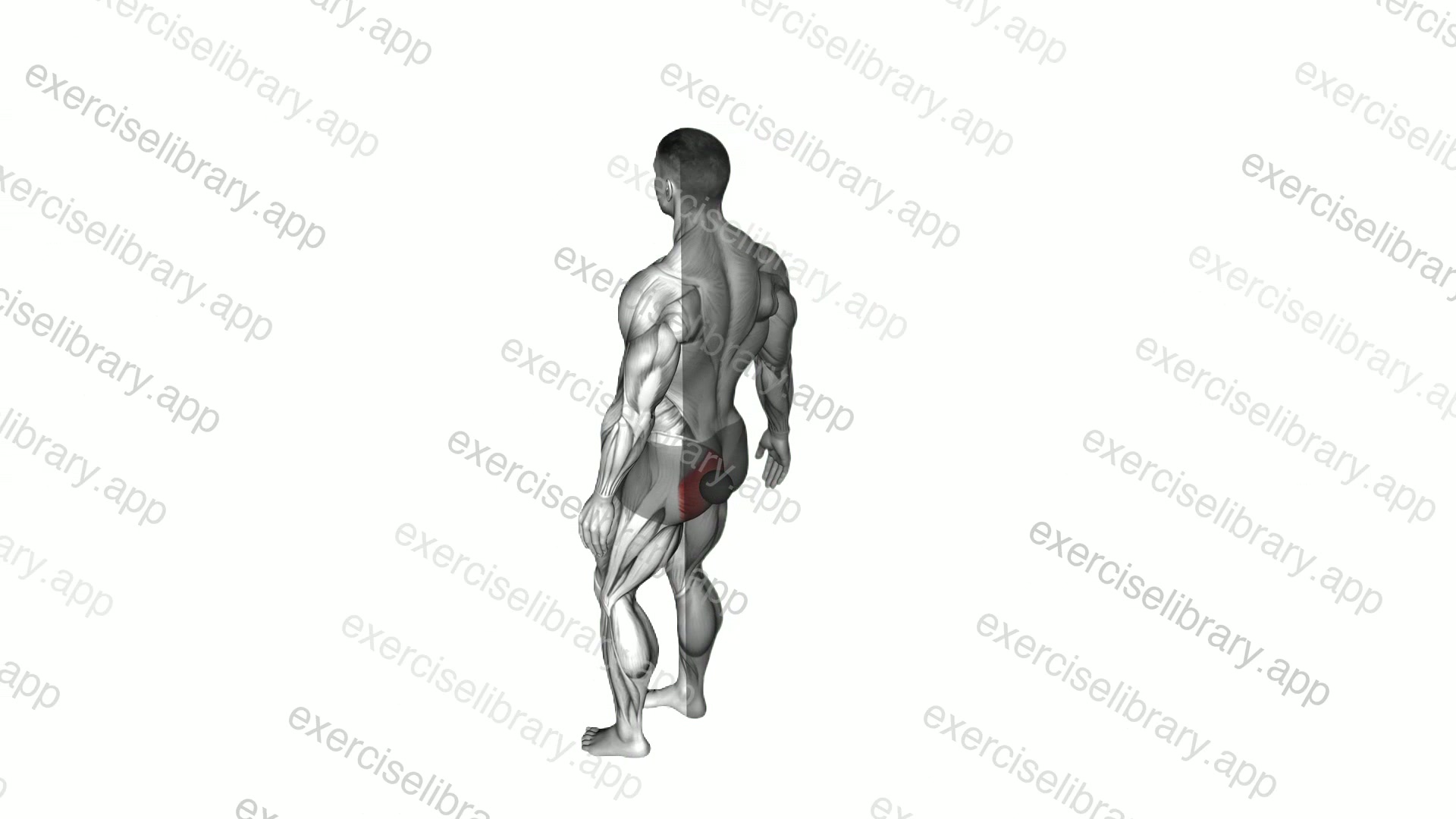 Roll Ball Gluteus Maximus Stretch demonstration