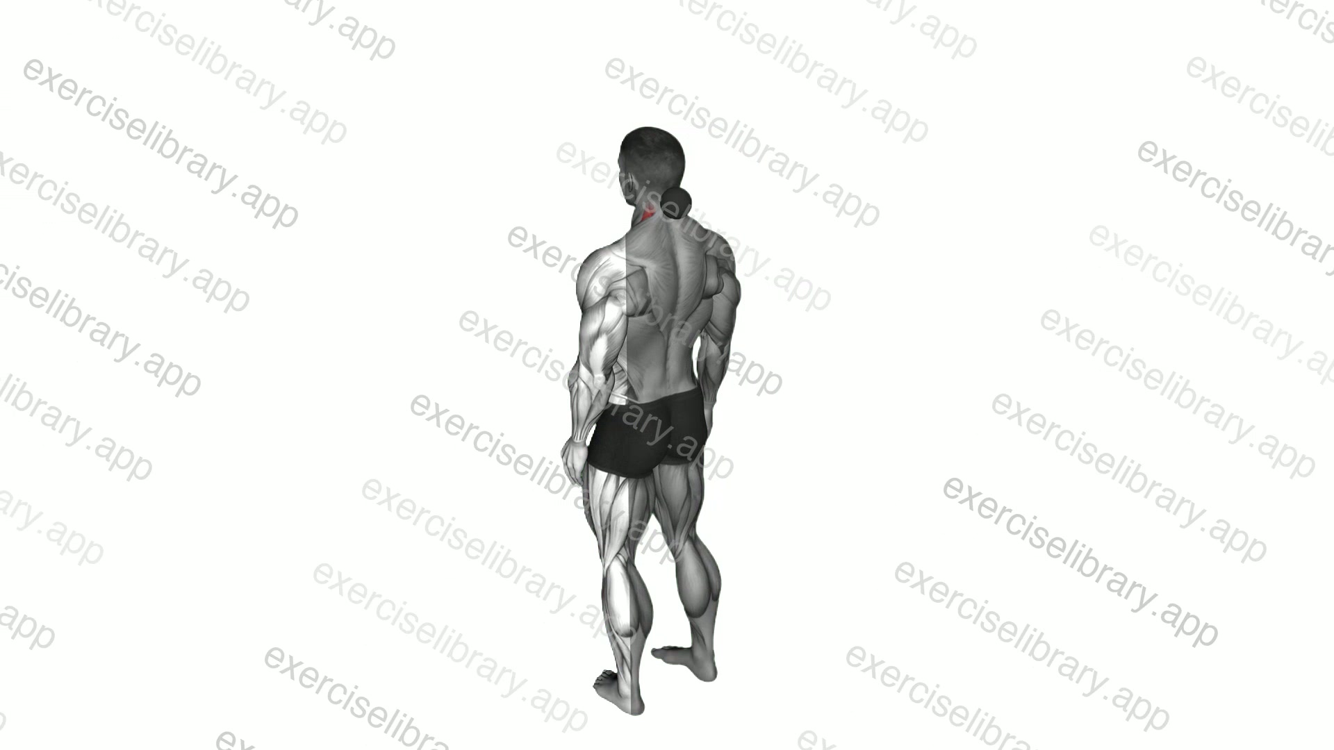 Roll Ball Back Head Stretch demonstration