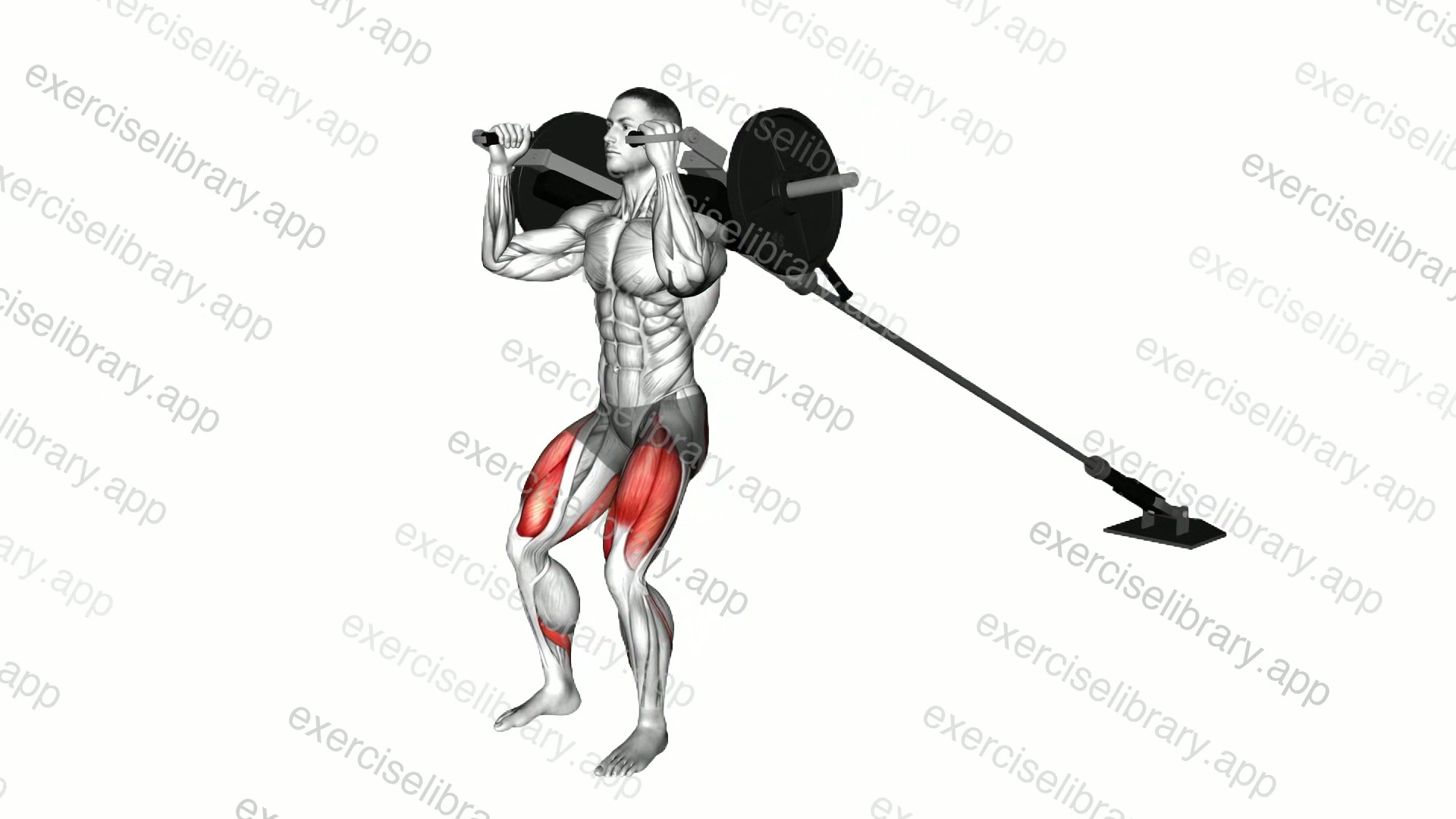 Landmine Squat with Linebacker Attachment demonstration