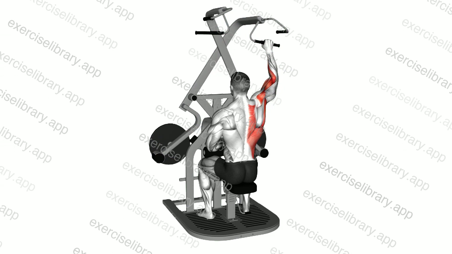 Lever Seated Single Arm Wide Lat Pulldown demonstration