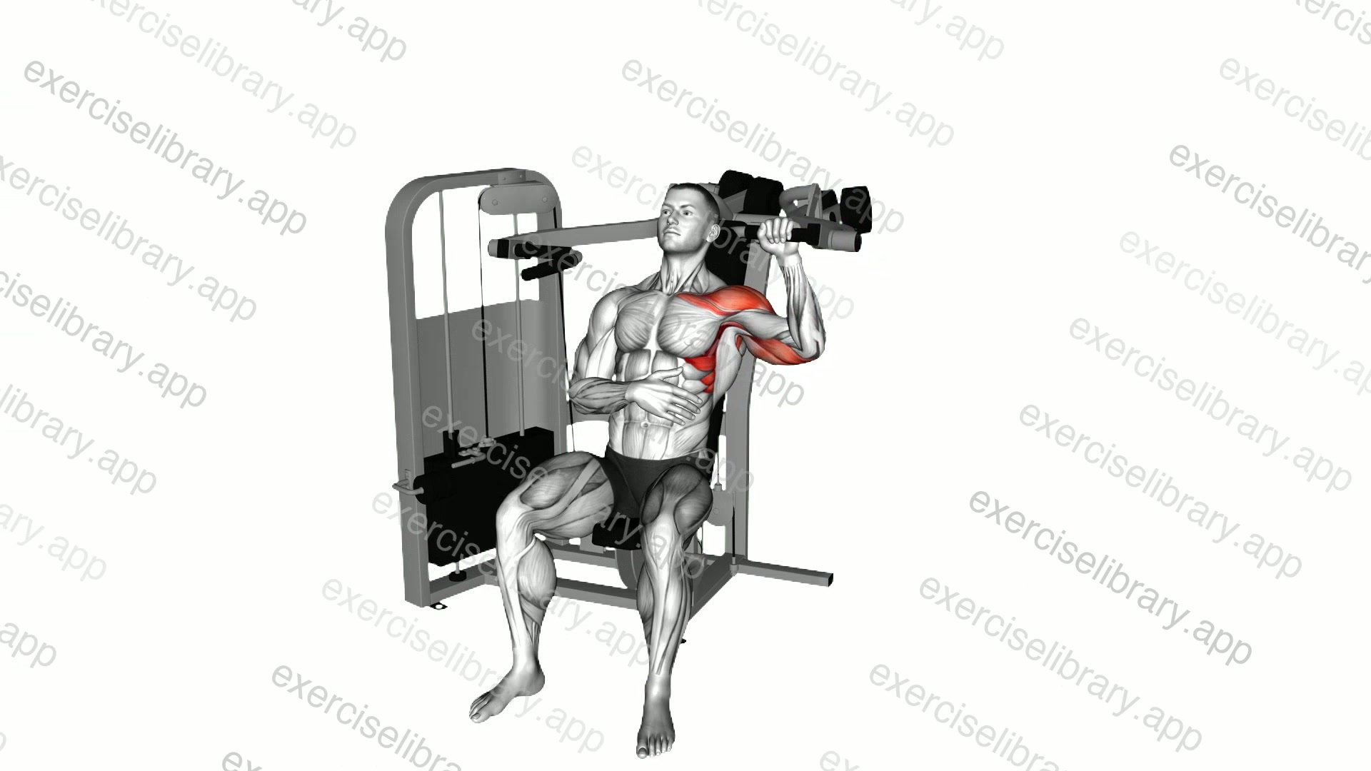 Lever Seated Single Arm Shoulder Press demonstration