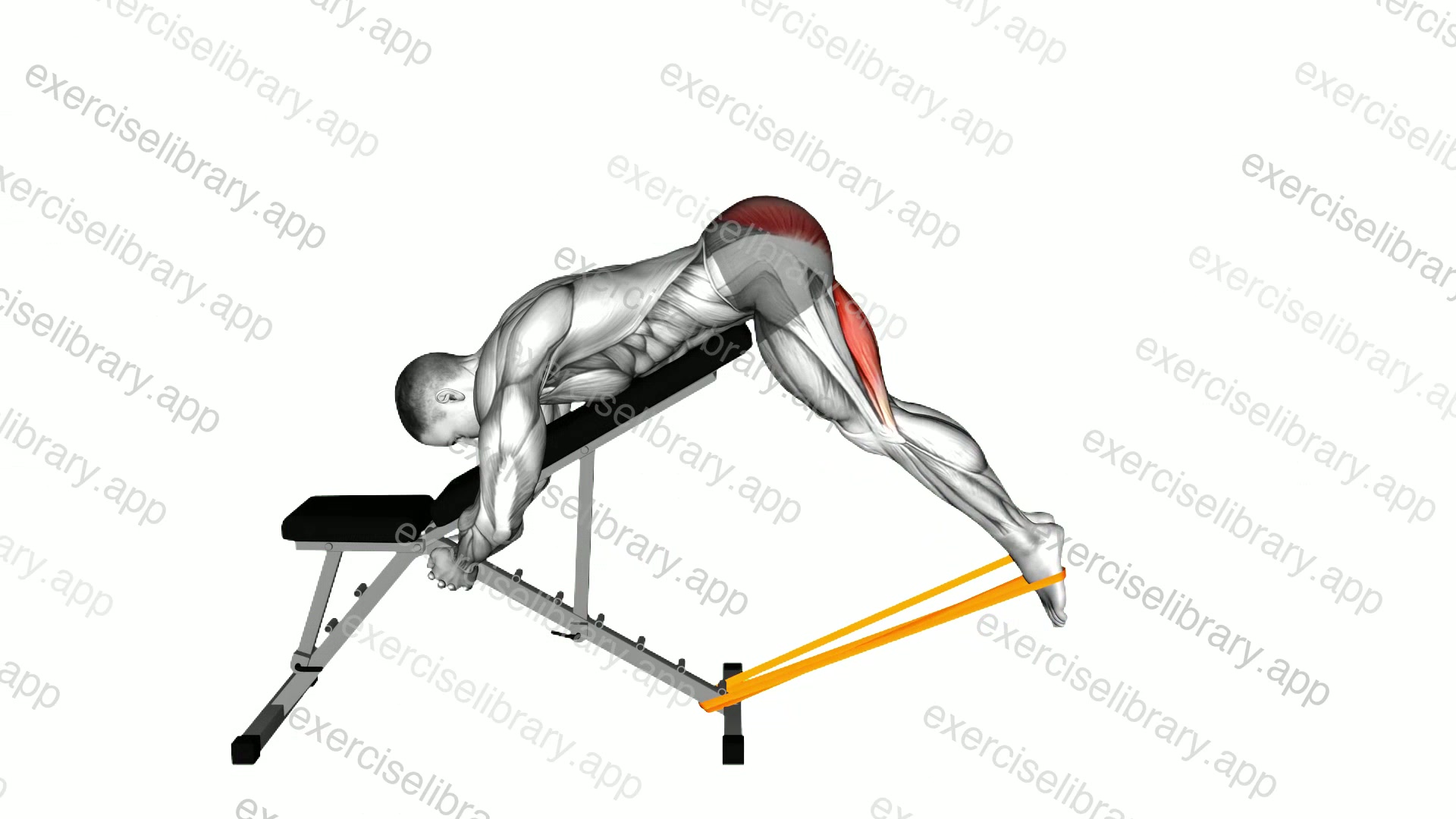 Resistance Band Incline Reverse Hyperextension demonstration