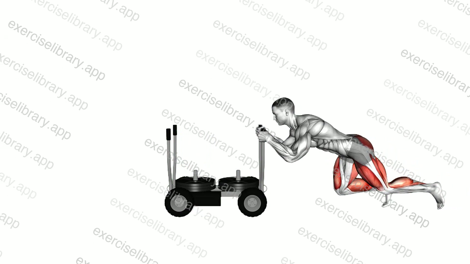 Torque Tank Push demonstration