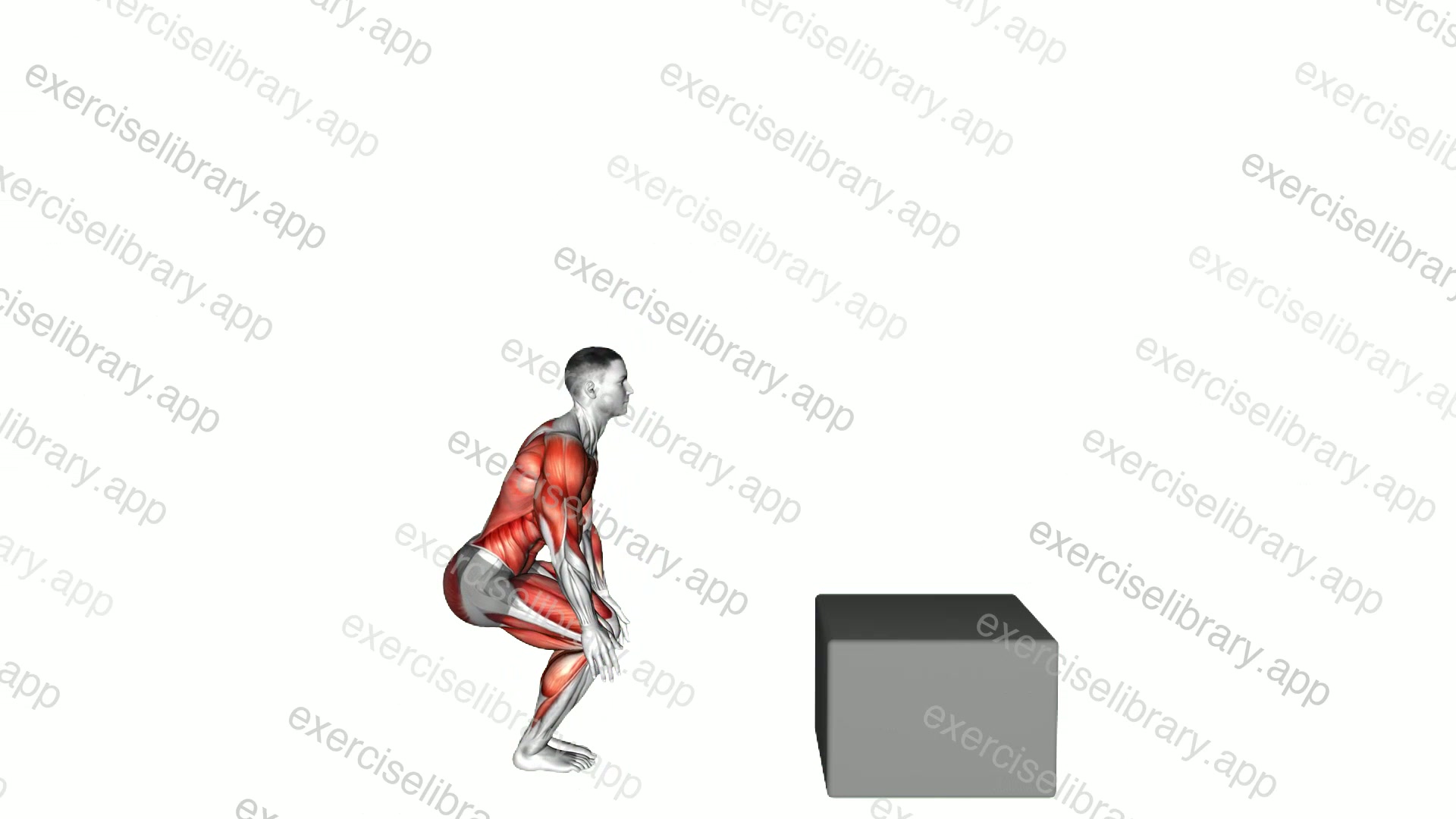 Burpee Jump Box demonstration