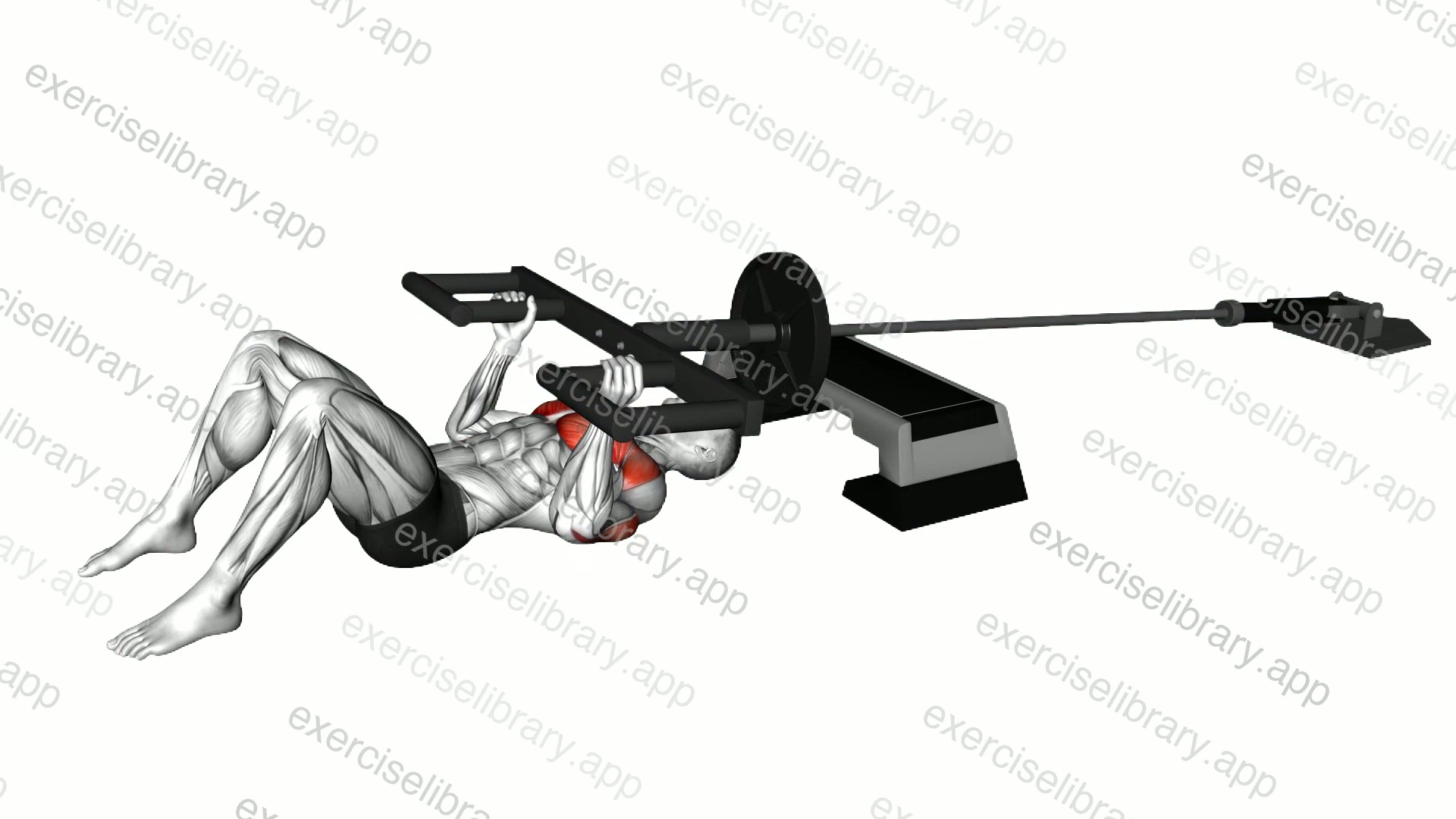Landmine Neutral Grip Chest Press with Viking Press Attachment demonstration