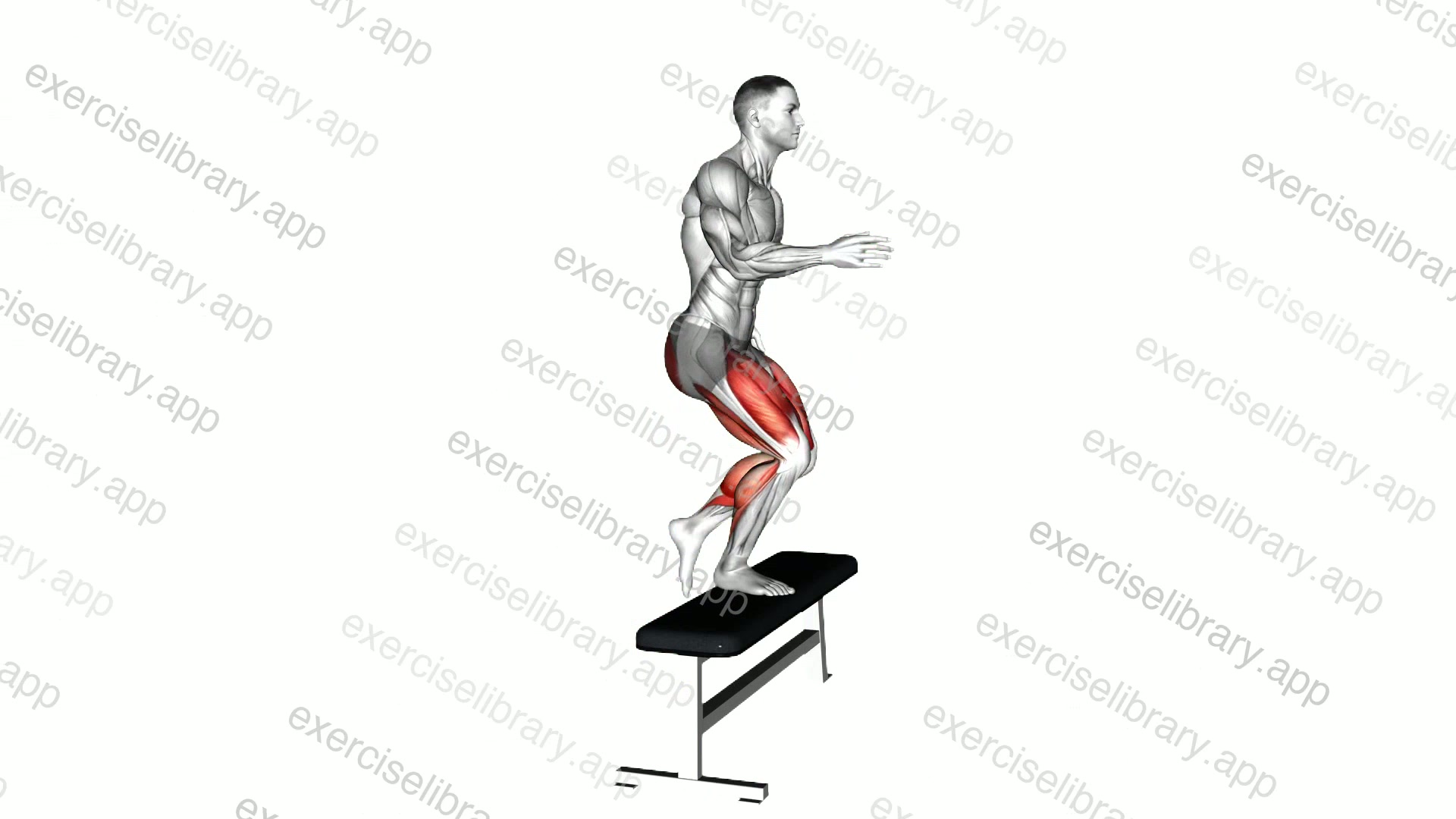 Step-up with Knee Drive demonstration