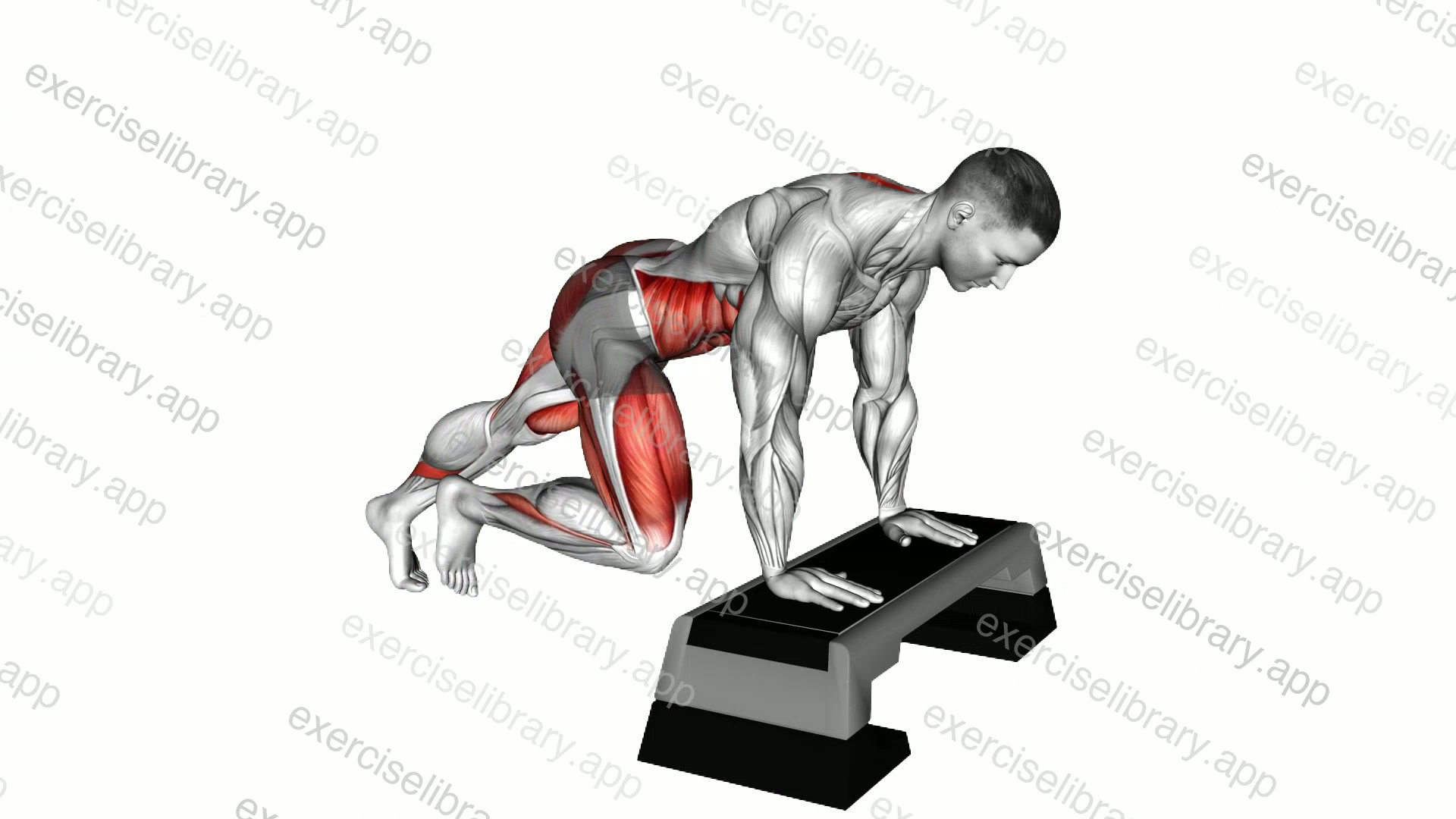 Incline Mountain Climber on Stepbox demonstration