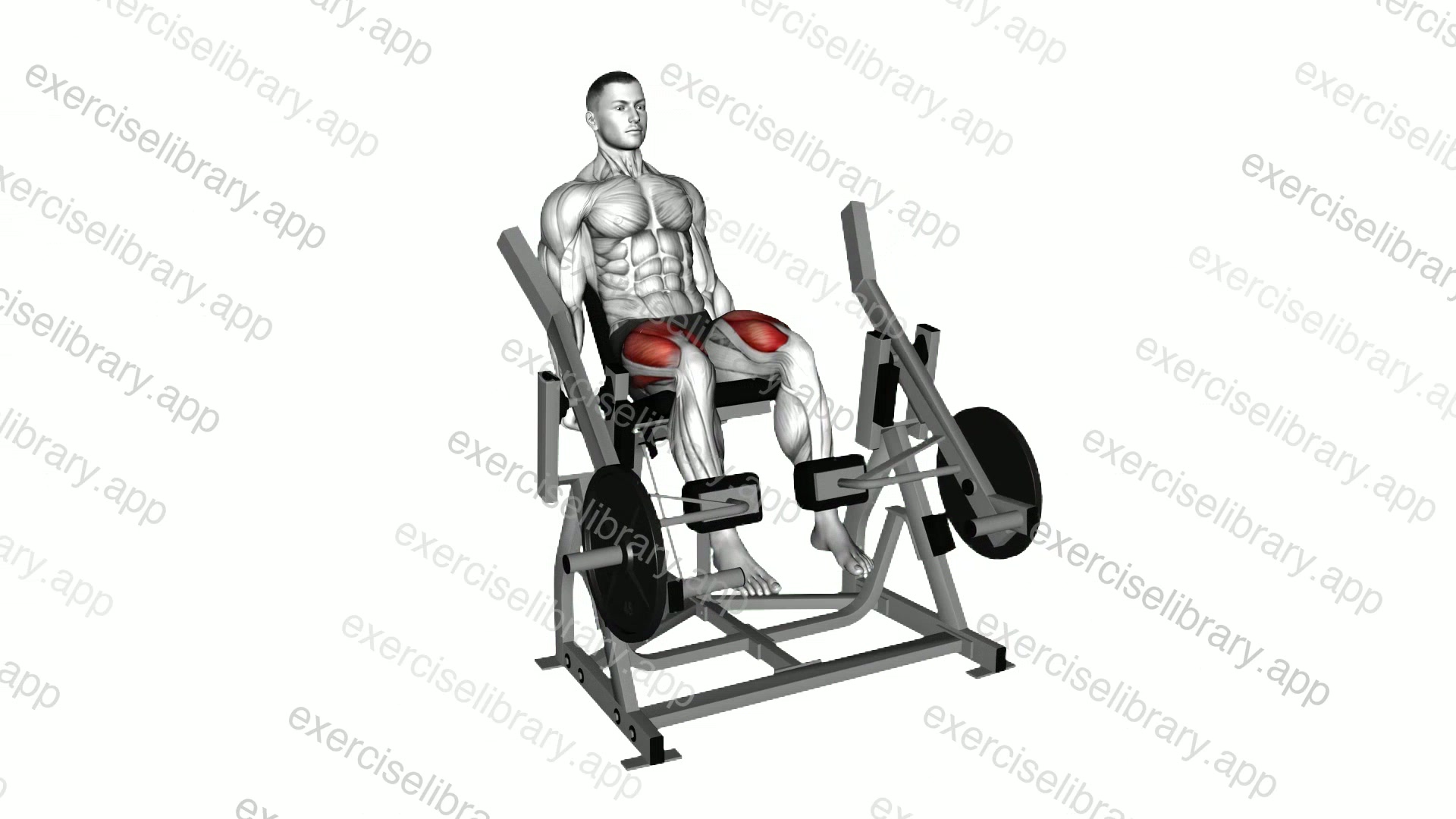Lever Leg Extension demonstration