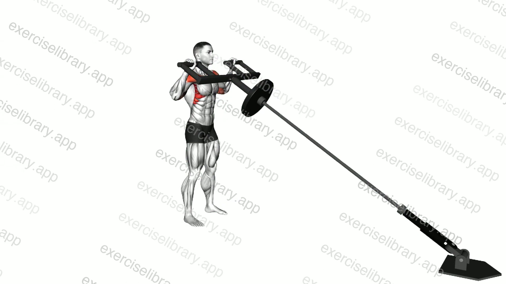 Landmine Shoulders Press with Viking Press Attachment demonstration
