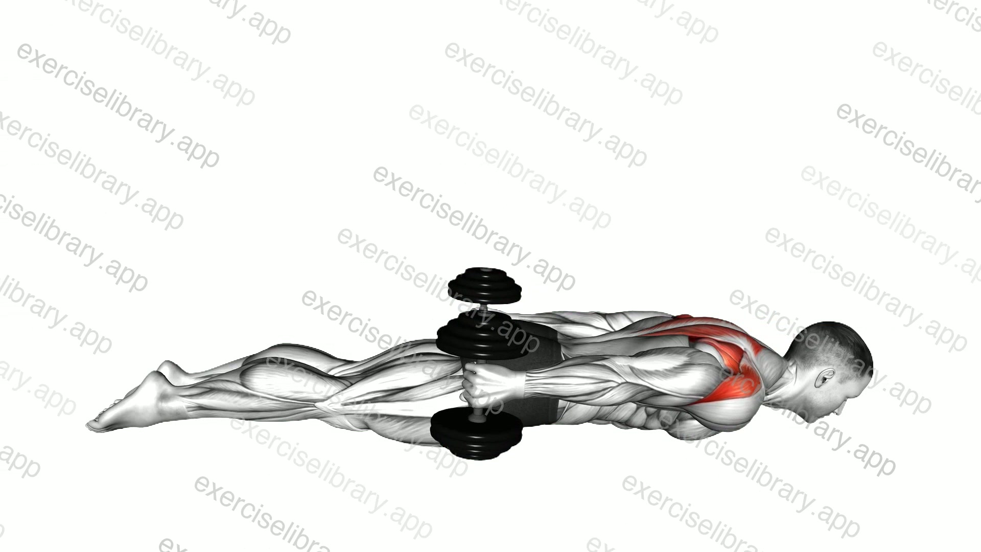 Lyine Prone Shoulder Extension demonstration