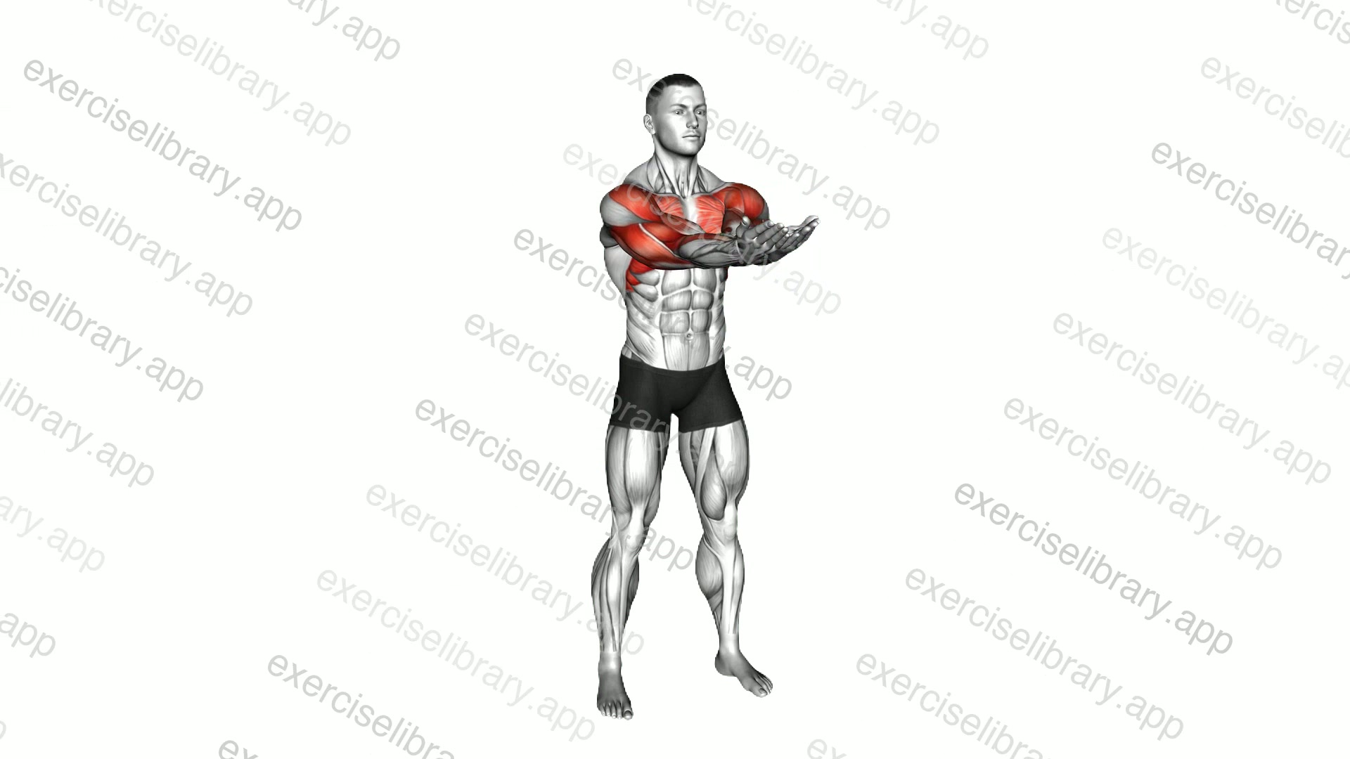 Standing Elbow Together Scoop demonstration